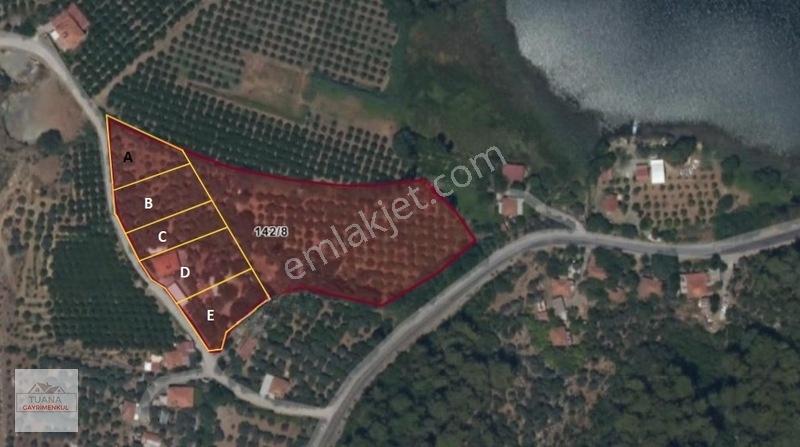 Tuana Emlak'tan Köyceğiz Sultaniye'de 905 M² Satılık Arazi — fotoğraf 5