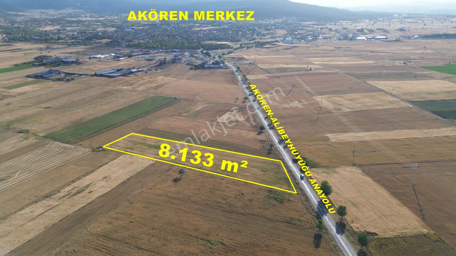 Akören Hacılar'da 8.133 M² Yol Cepheli Satılık Tarla — fotoğraf 2