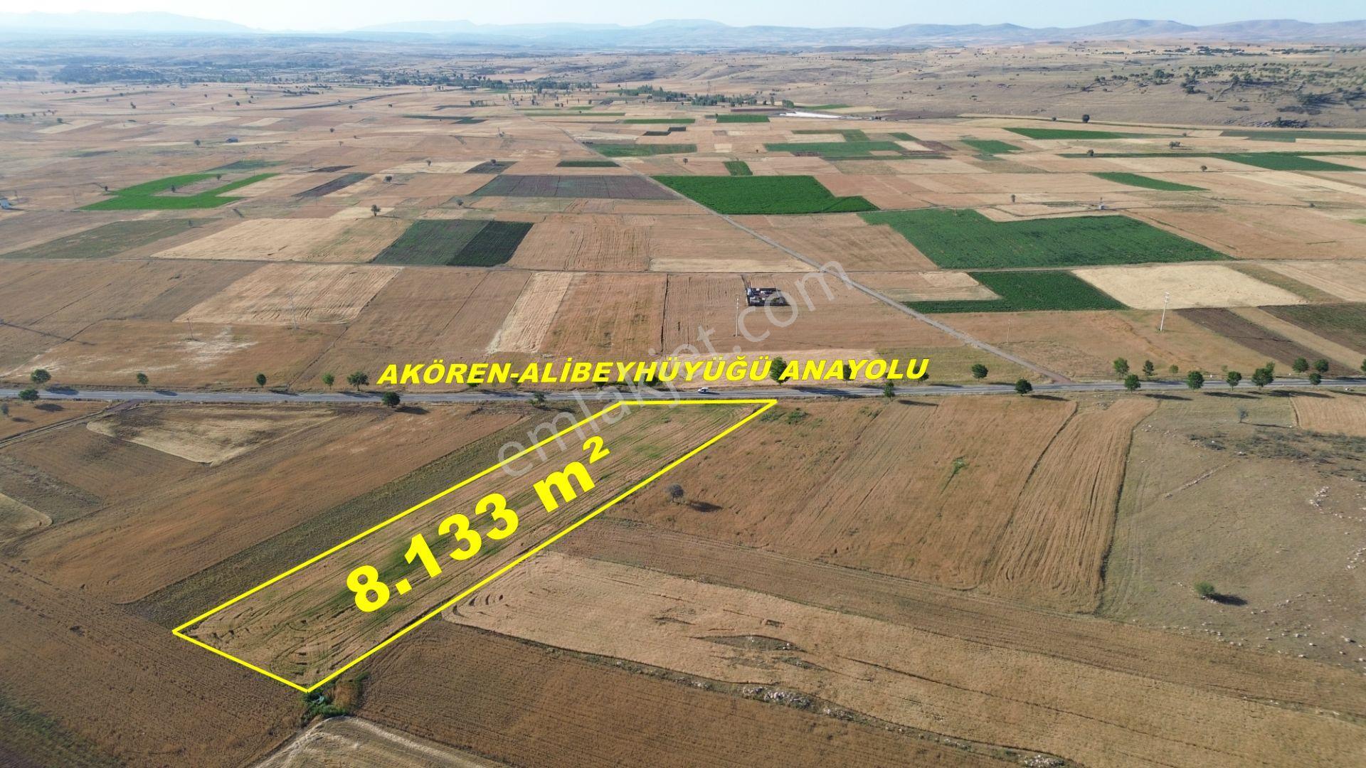 Akören Hacılar'da 8.133 M² Yol Cepheli Satılık Tarla — fotoğraf 3