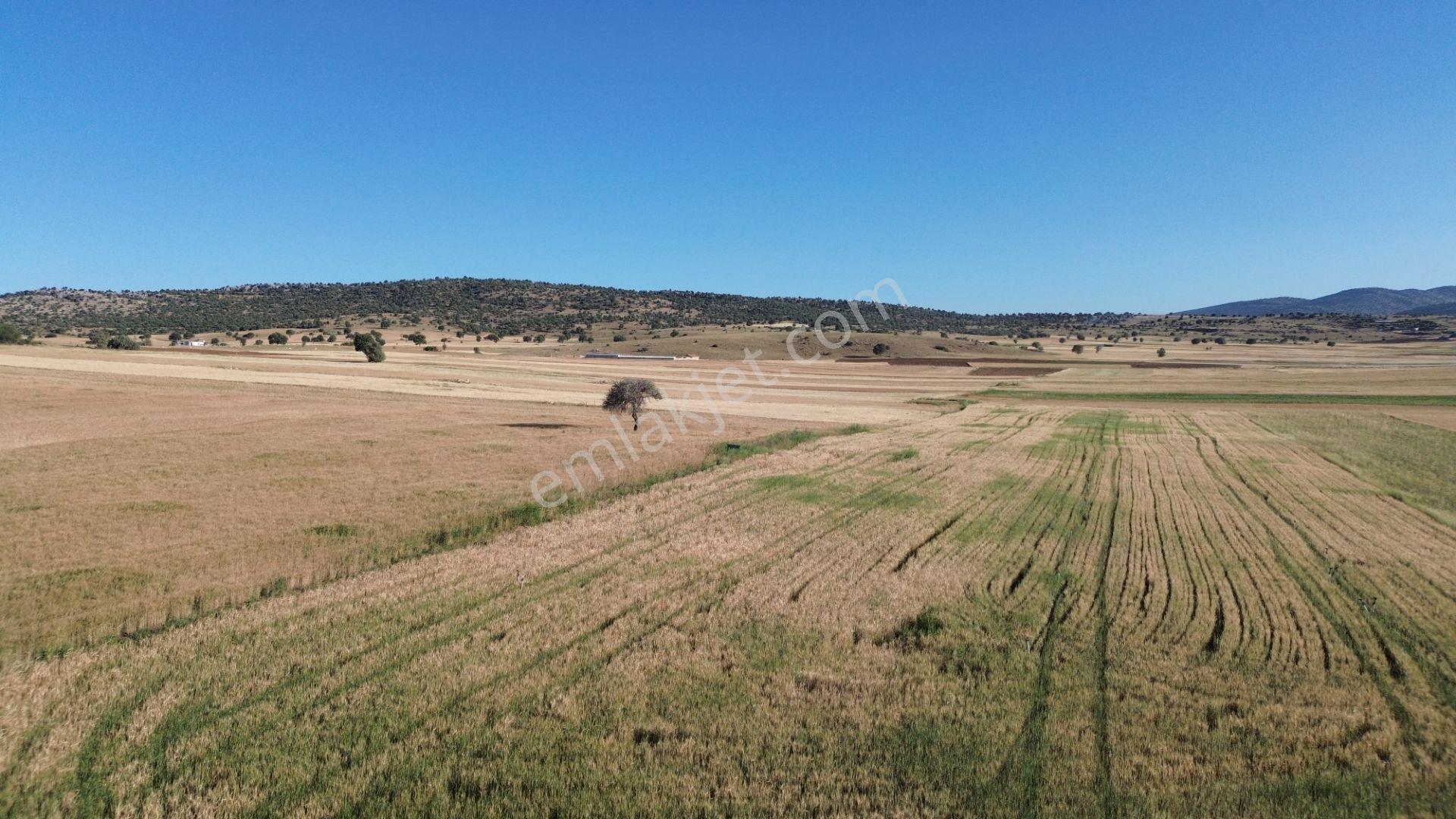 Akören Hacılar'da 8.133 M² Yol Cepheli Satılık Tarla — fotoğraf 6