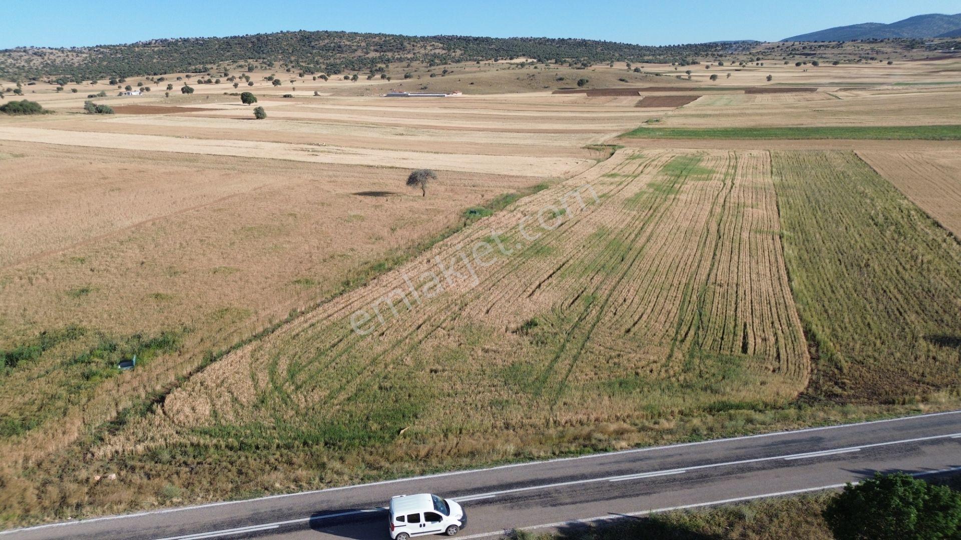 Akören Hacılar'da 8.133 M² Yol Cepheli Satılık Tarla — fotoğraf 7