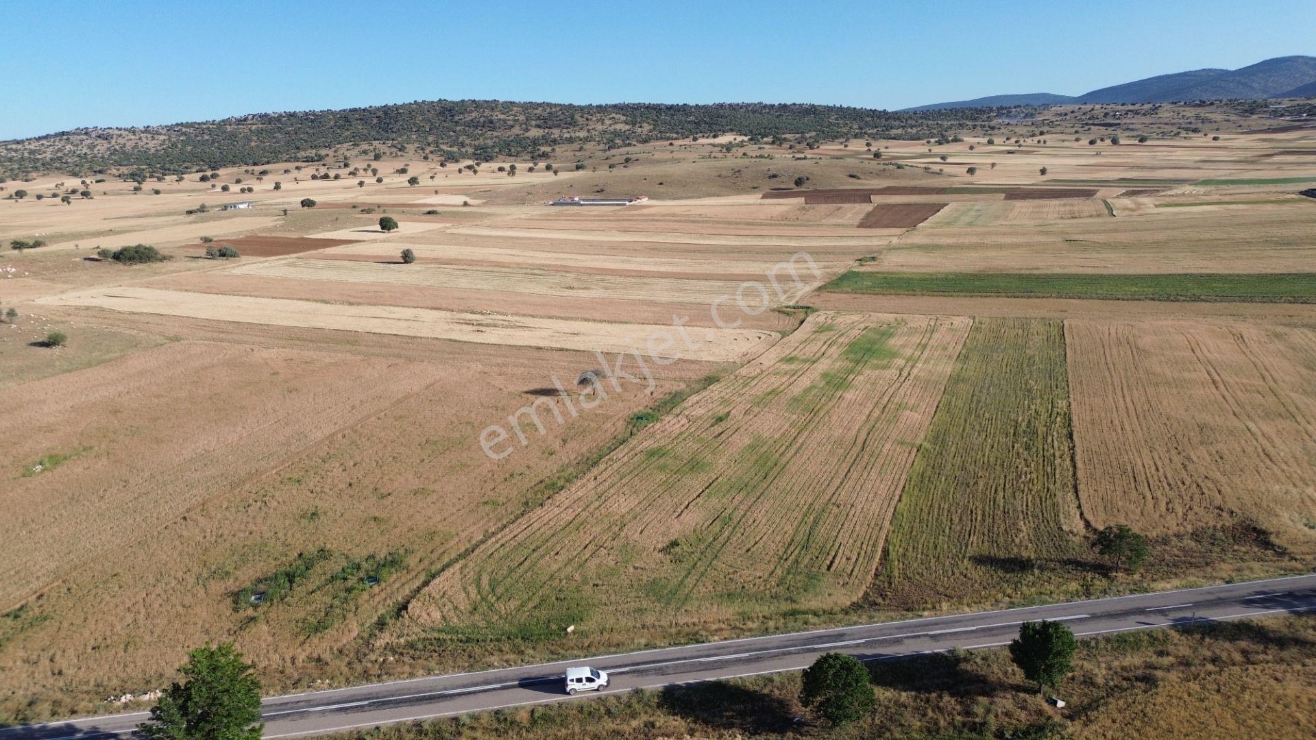 Akören Hacılar'da 8.133 M² Yol Cepheli Satılık Tarla — fotoğraf 8