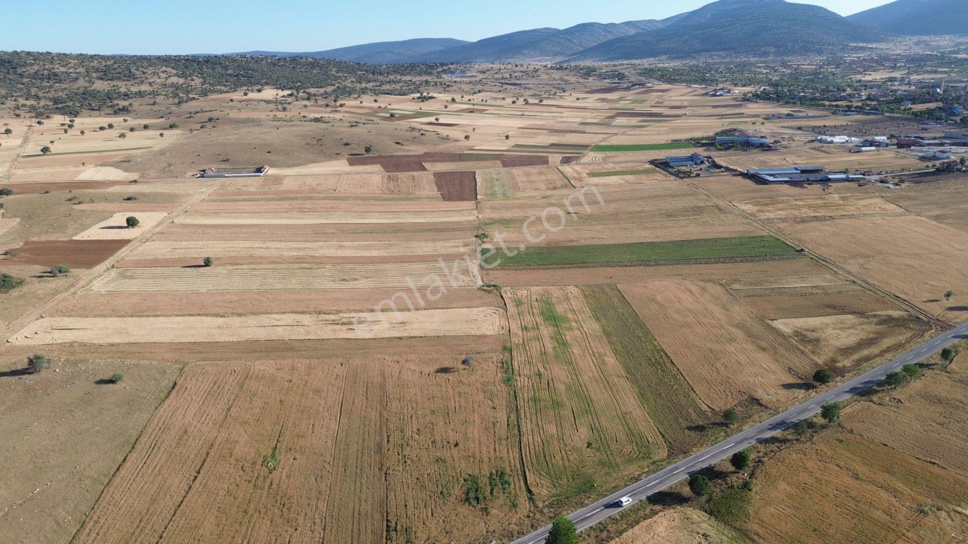 Akören Hacılar'da 8.133 M² Yol Cepheli Satılık Tarla — fotoğraf 11