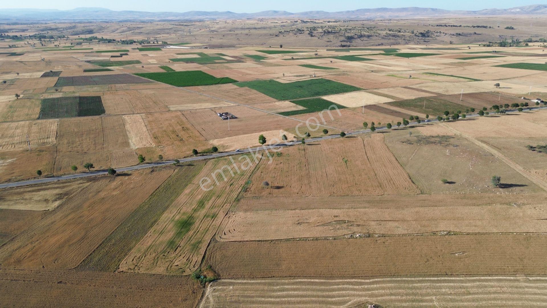 Akören Hacılar'da 8.133 M² Yol Cepheli Satılık Tarla — fotoğraf 18