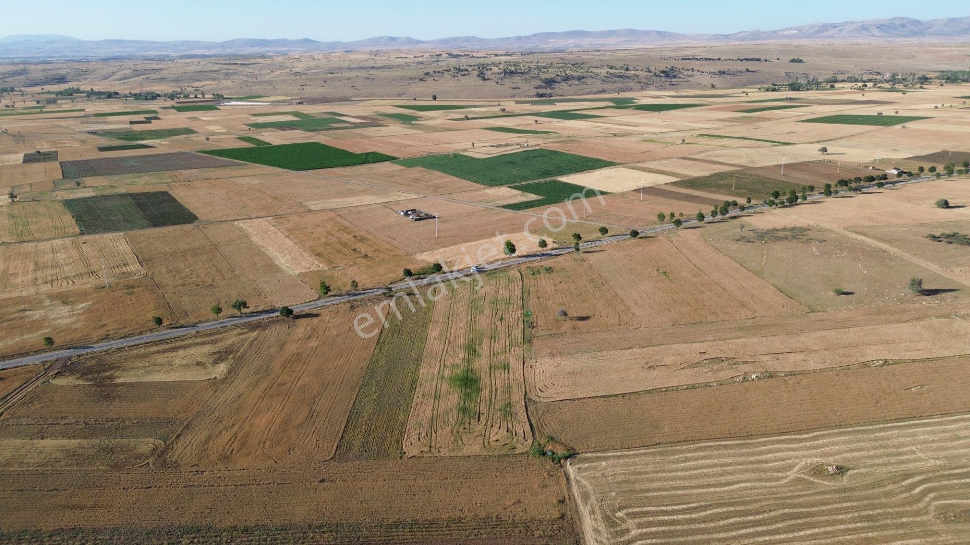 Akören Hacılar'da 8.133 M² Yol Cepheli Satılık Tarla — fotoğraf 19