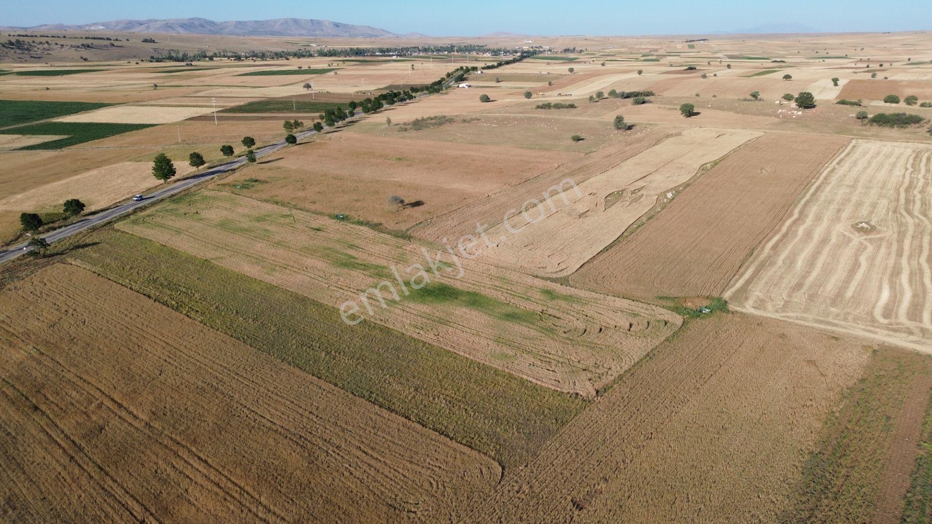 Akören Hacılar'da 8.133 M² Yol Cepheli Satılık Tarla — fotoğraf 24