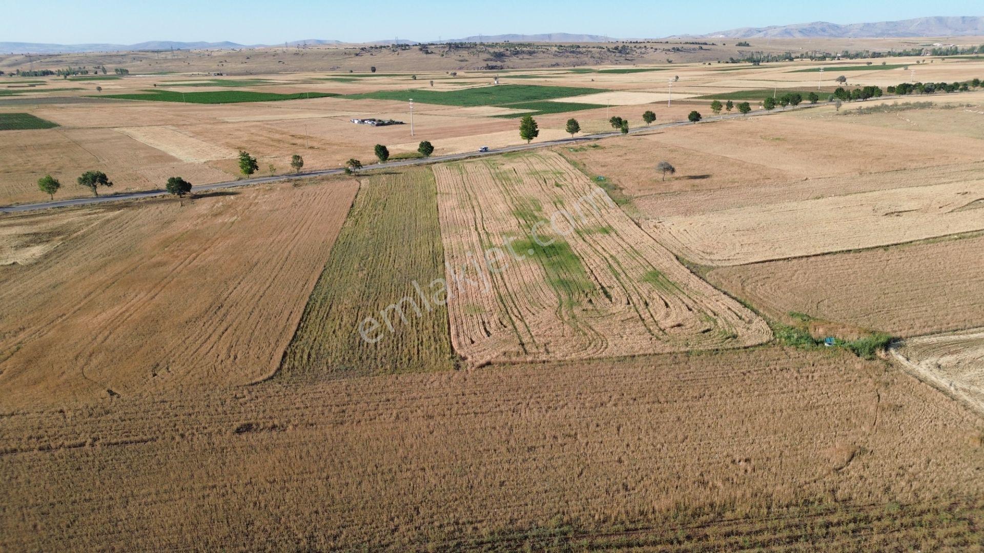 Akören Hacılar'da 8.133 M² Yol Cepheli Satılık Tarla — fotoğraf 26