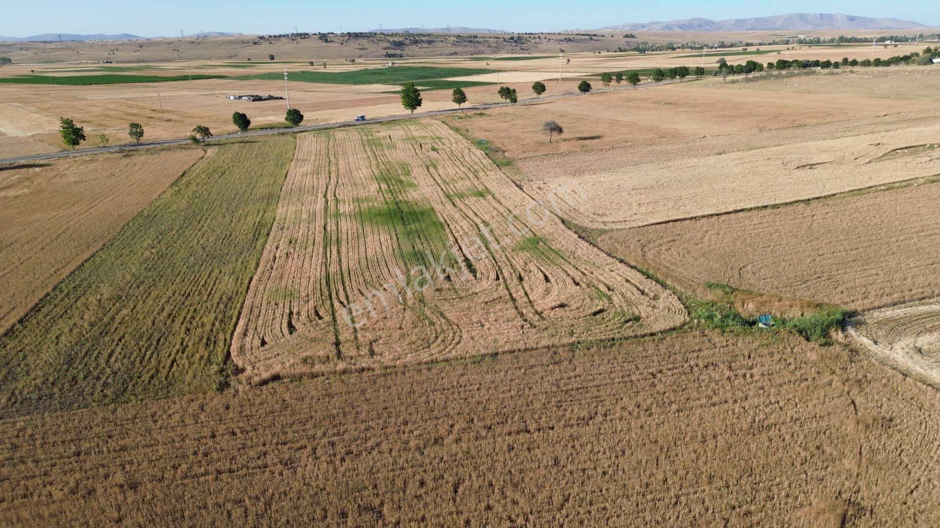 Akören Hacılar'da 8.133 M² Yol Cepheli Satılık Tarla — fotoğraf 27