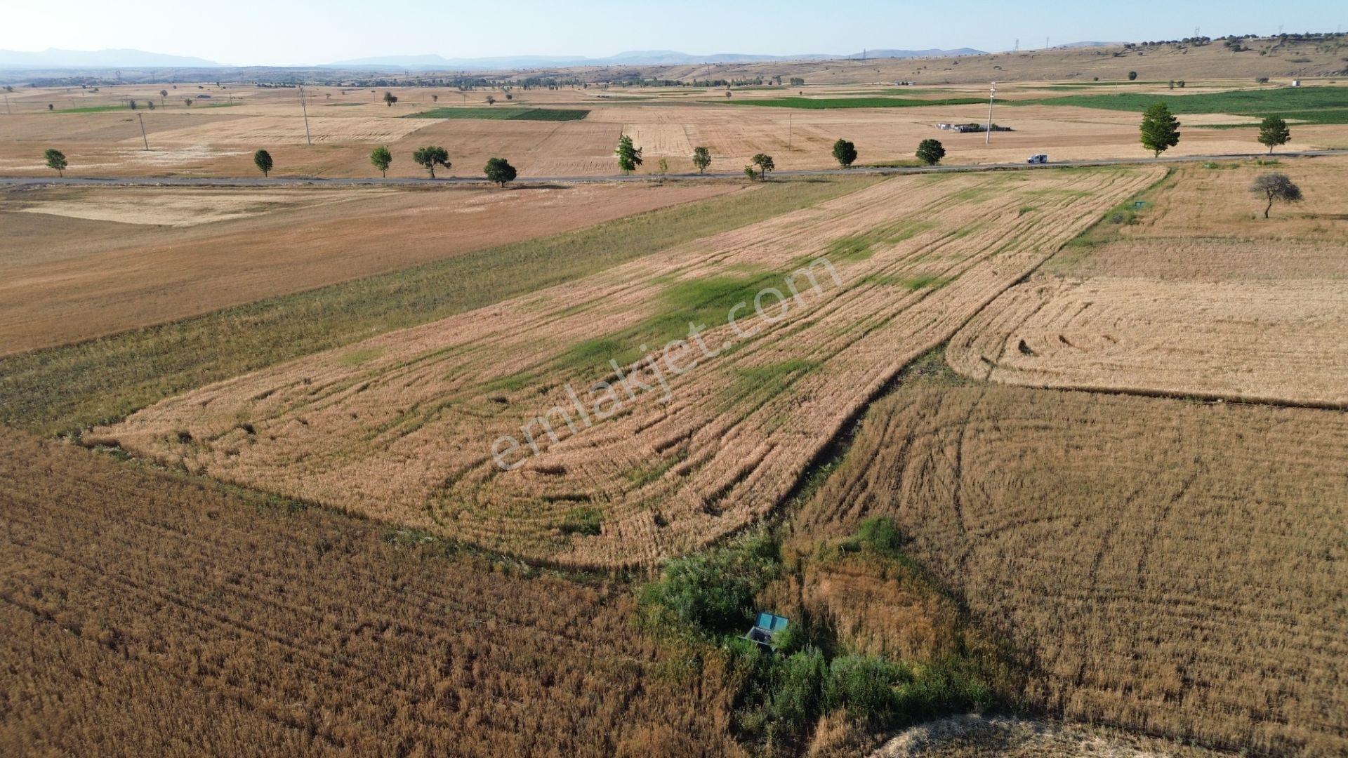 Akören Hacılar'da 8.133 M² Yol Cepheli Satılık Tarla — fotoğraf 28