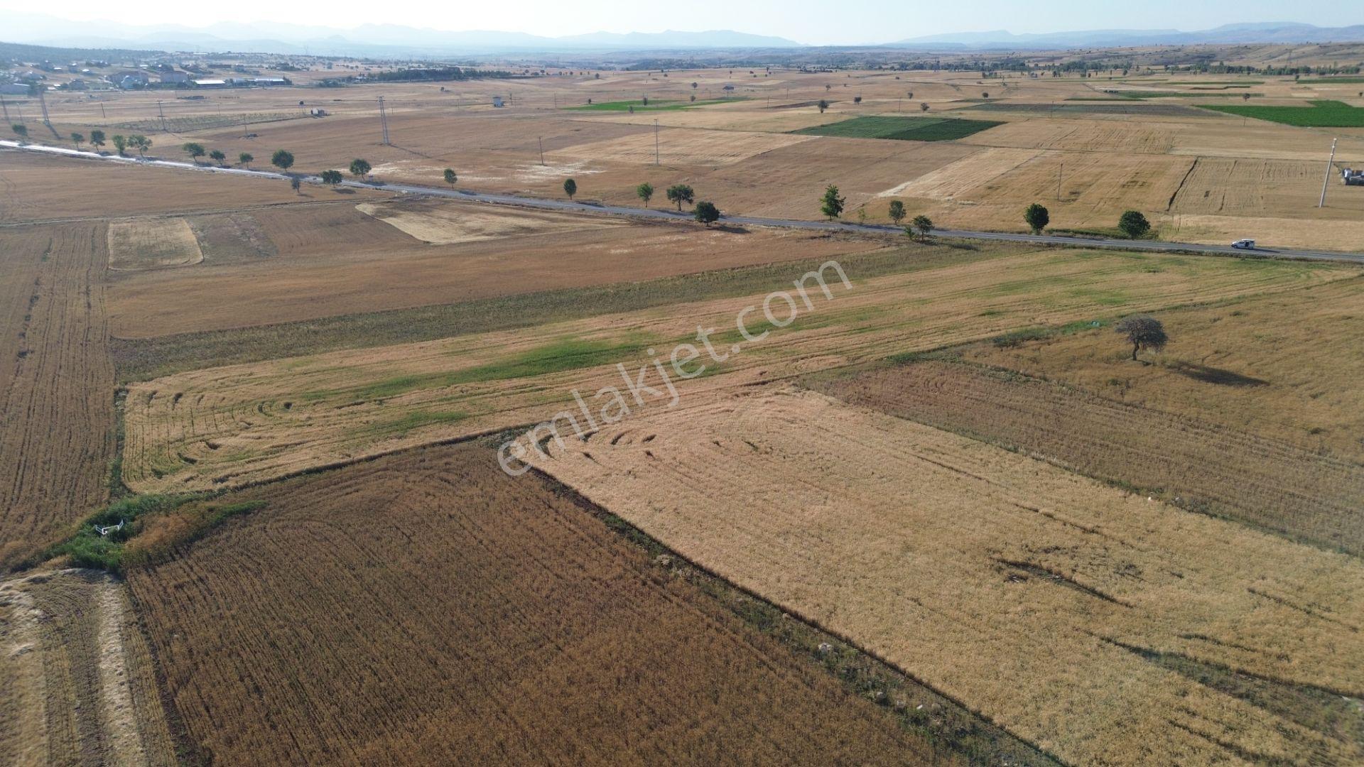 Akören Hacılar'da 8.133 M² Yol Cepheli Satılık Tarla — fotoğraf 29