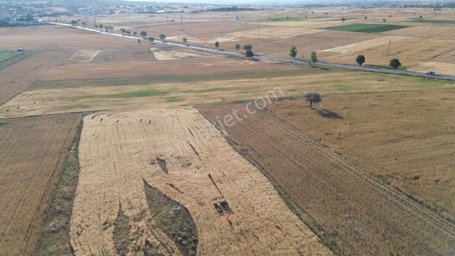 Akören Hacılar'da 8.133 M² Yol Cepheli Satılık Tarla — fotoğraf 31