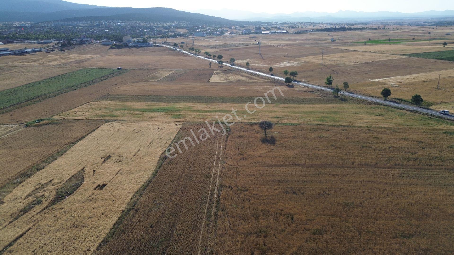 Akören Hacılar'da 8.133 M² Yol Cepheli Satılık Tarla — fotoğraf 32