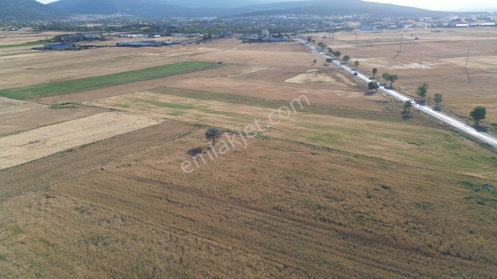 Akören Hacılar'da 8.133 M² Yol Cepheli Satılık Tarla — fotoğraf 33