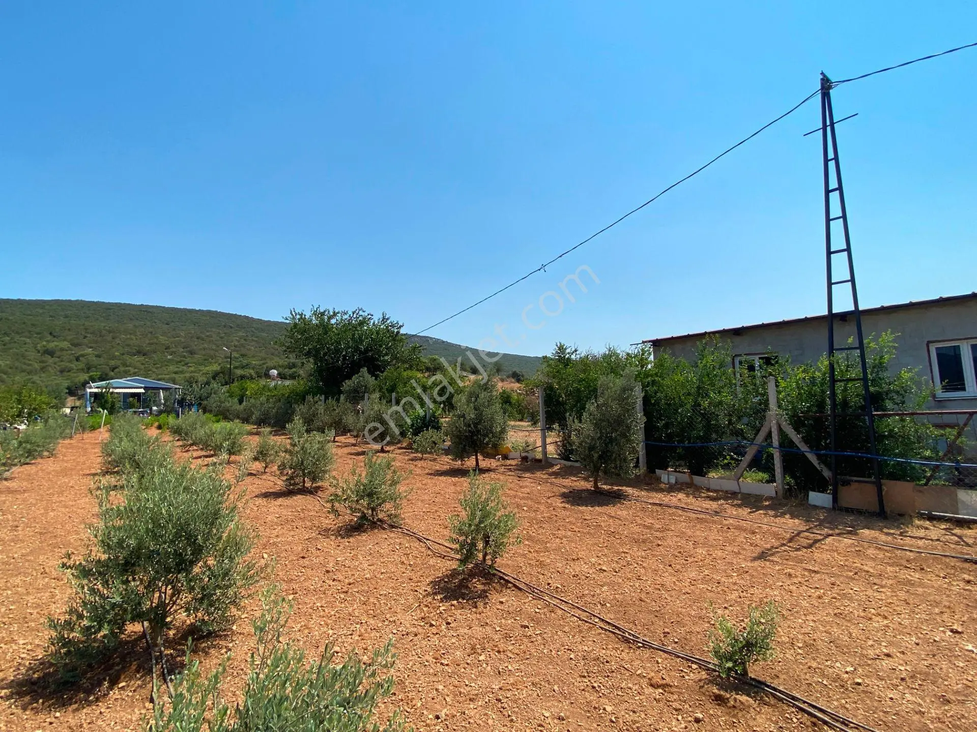 Remax Armadan Menderes Ataköy'de Numaratjlı Satılık — fotoğraf 4