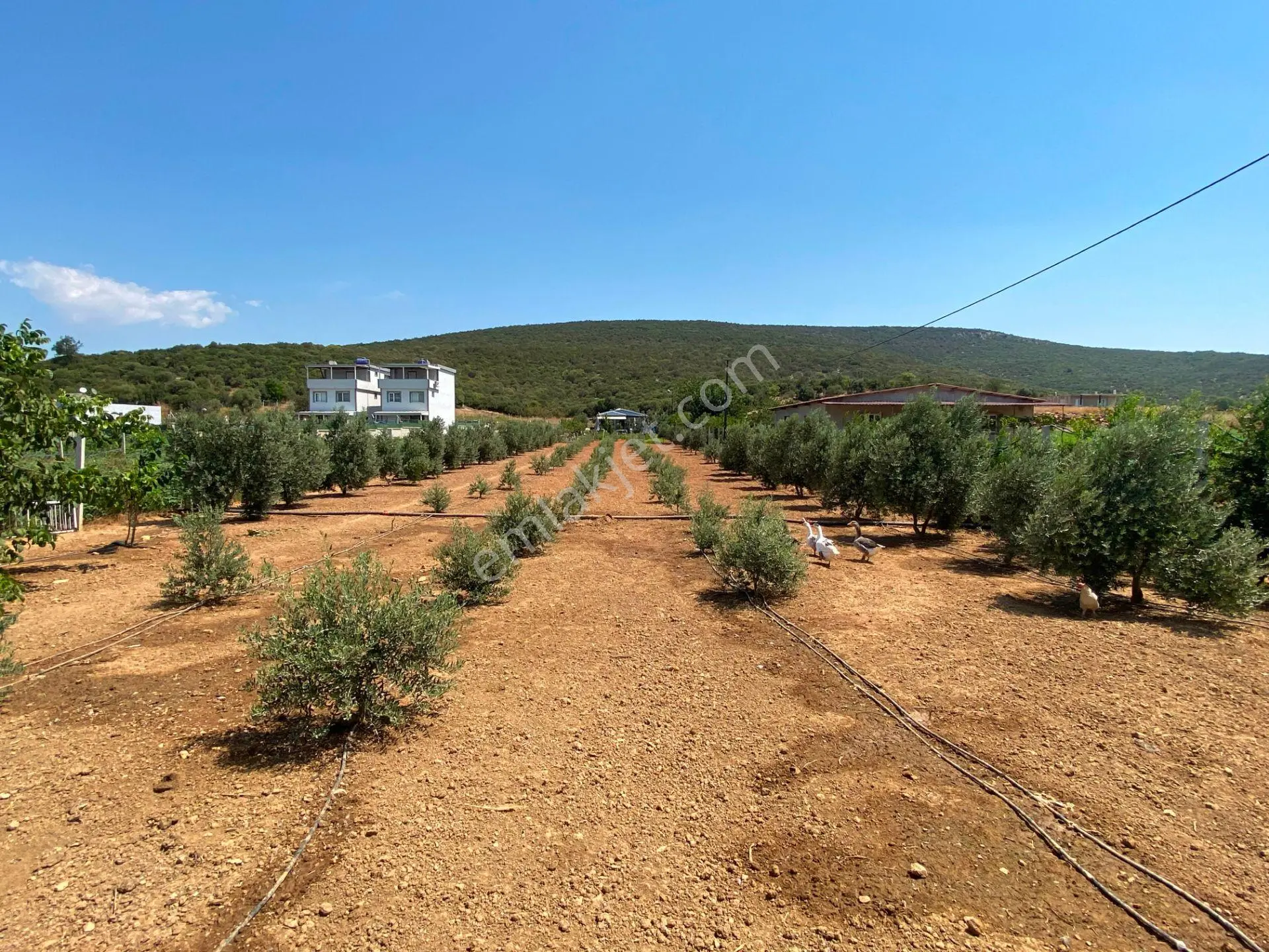 Remax Armadan Menderes Ataköy'de Numaratjlı Satılık — fotoğraf 5