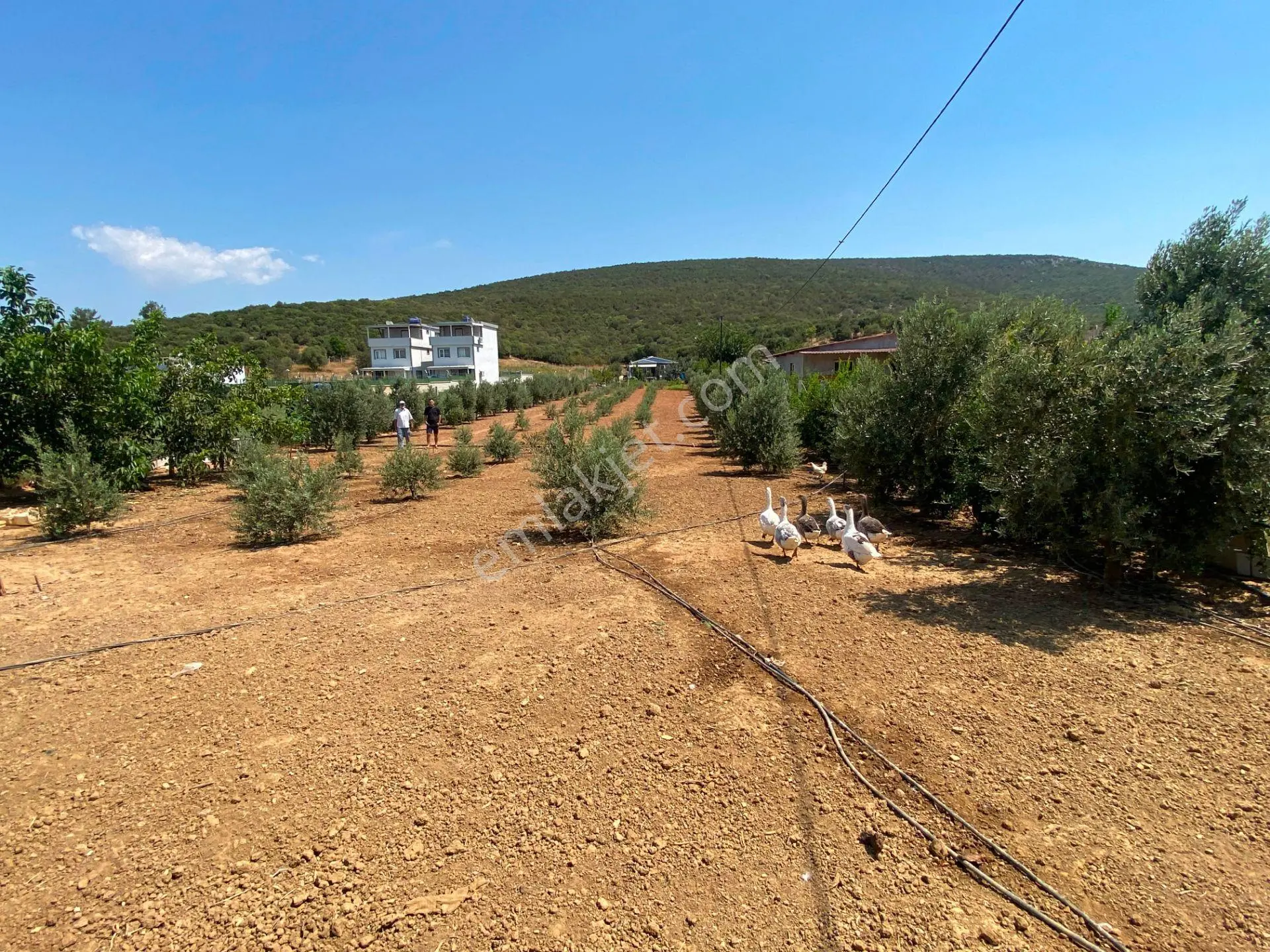 Remax Armadan Menderes Ataköy'de Numaratjlı Satılık — fotoğraf 7