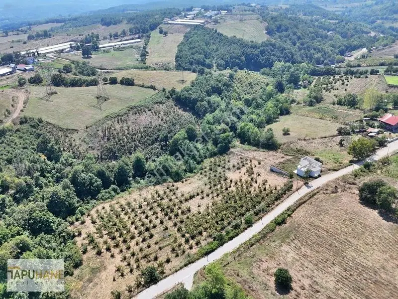 Tapuhaneden Esentepe Mh İmarlı Satılık Arsa — fotoğraf 3