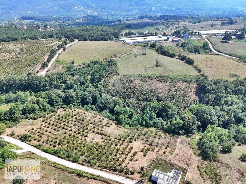 Tapuhaneden Esentepe Mh İmarlı Satılık Arsa — fotoğraf 4