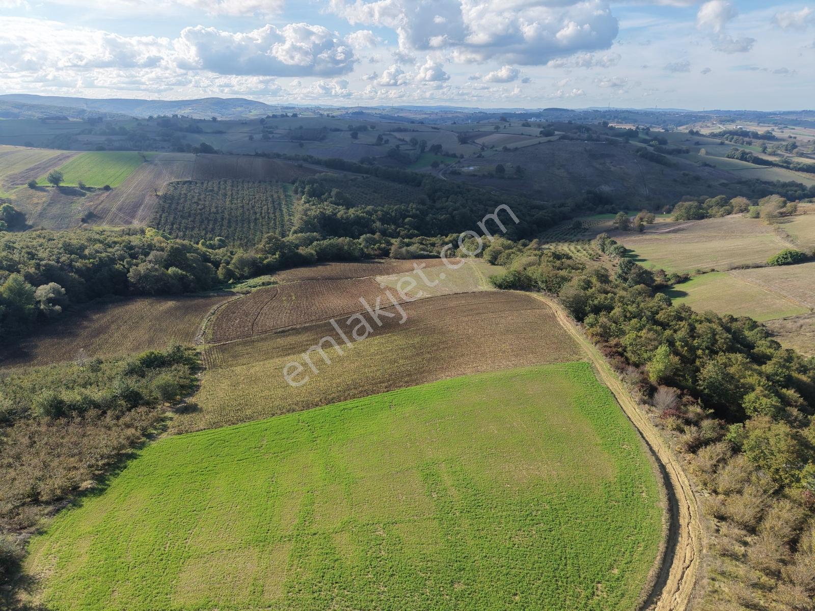Emlak Evim - Kandıra Mülkişehsuvar Satılık 695 M2 %5 Tarla — fotoğraf 2