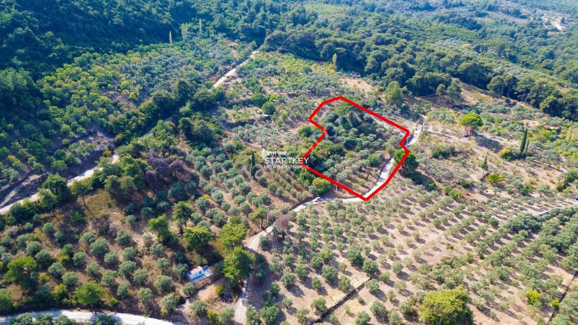 Selçuk Gökçealan Burgaz Mevkiinde Yola Yakın 5.392 M² Tarla — fotoğraf 2