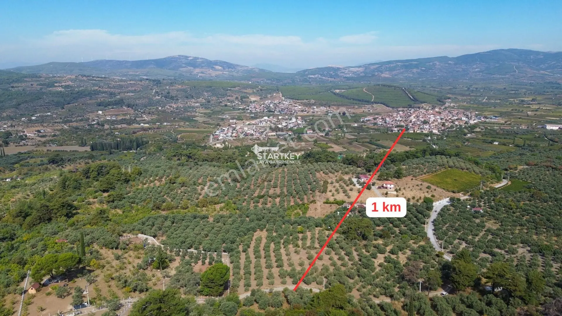 Selçuk Gökçealan Burgaz Mevkiinde Yola Yakın 5.392 M² Tarla — fotoğraf 3