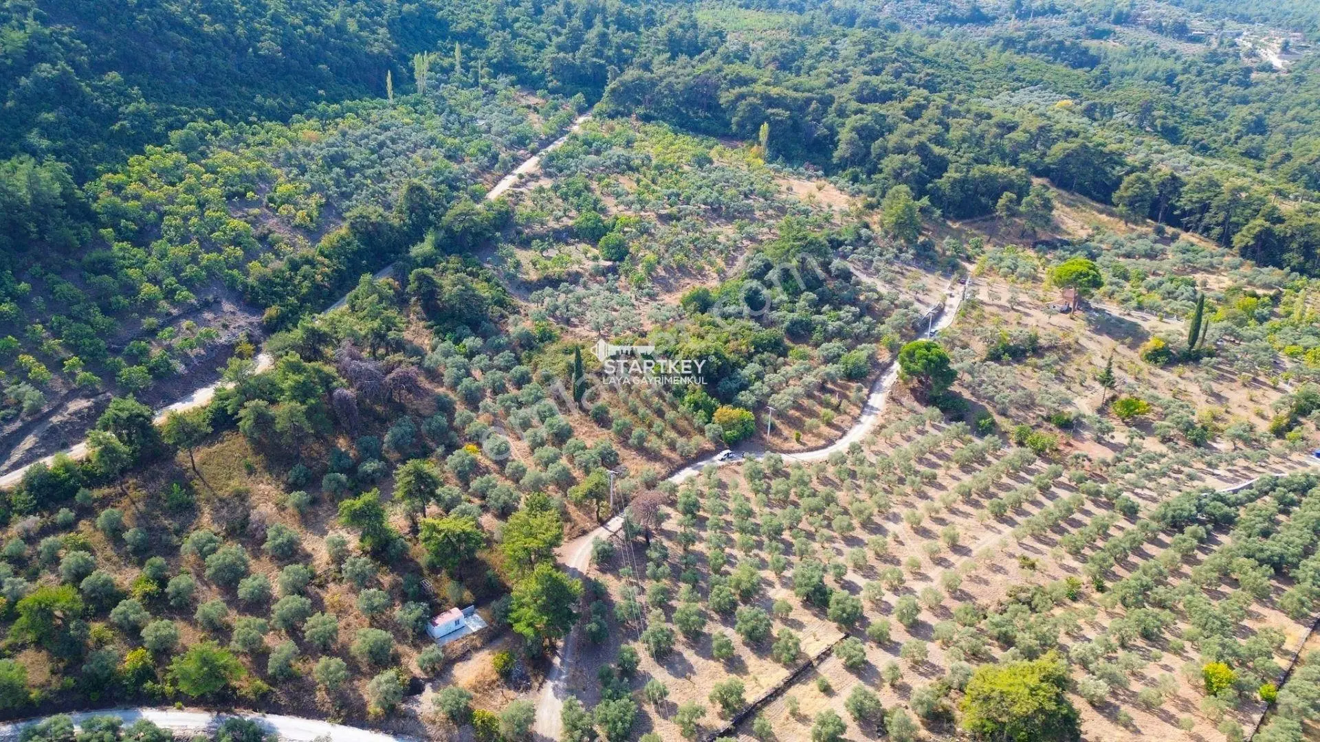 Selçuk Gökçealan Burgaz Mevkiinde Yola Yakın 5.392 M² Tarla — fotoğraf 4