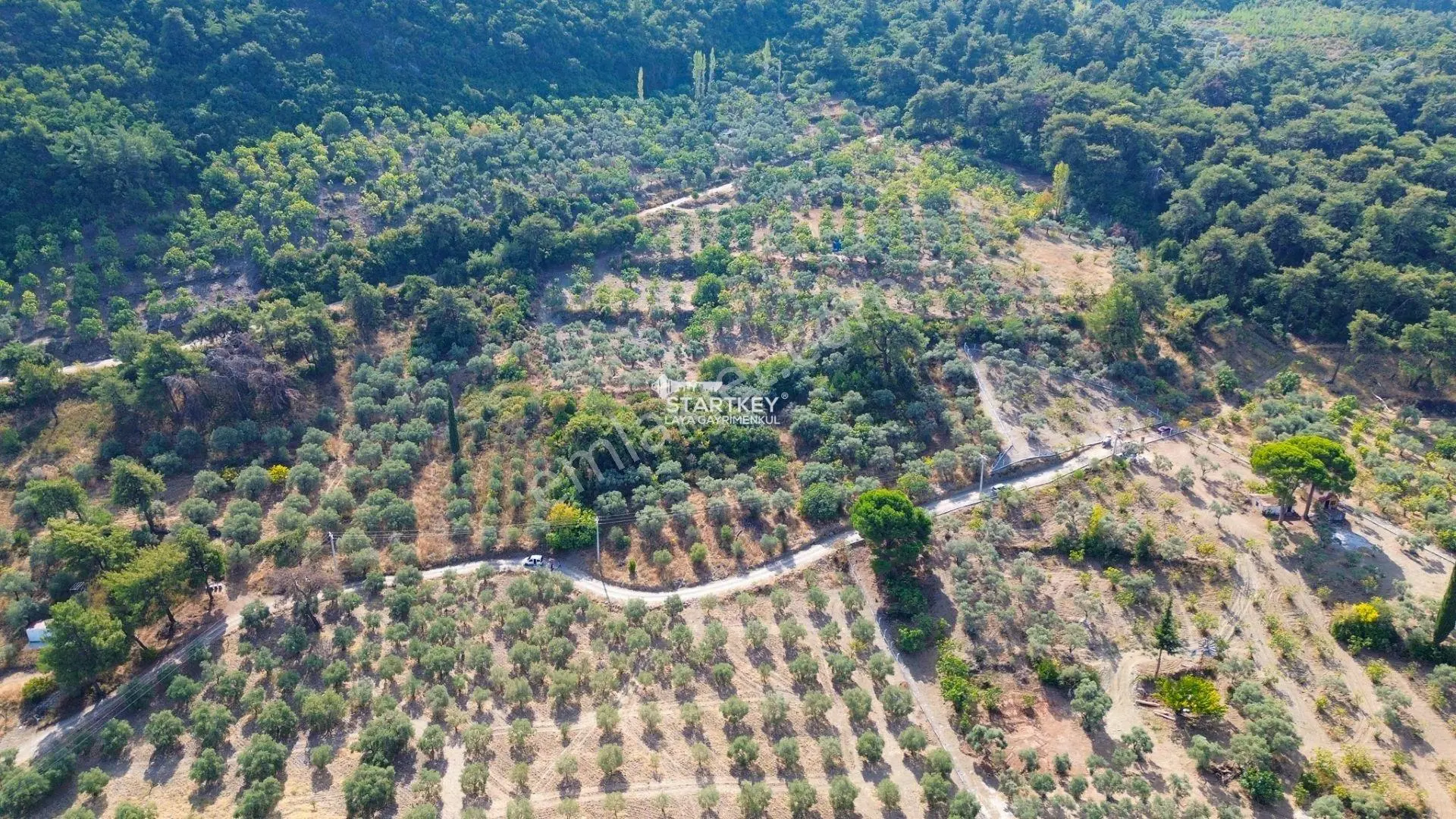 Selçuk Gökçealan Burgaz Mevkiinde Yola Yakın 5.392 M² Tarla — fotoğraf 5