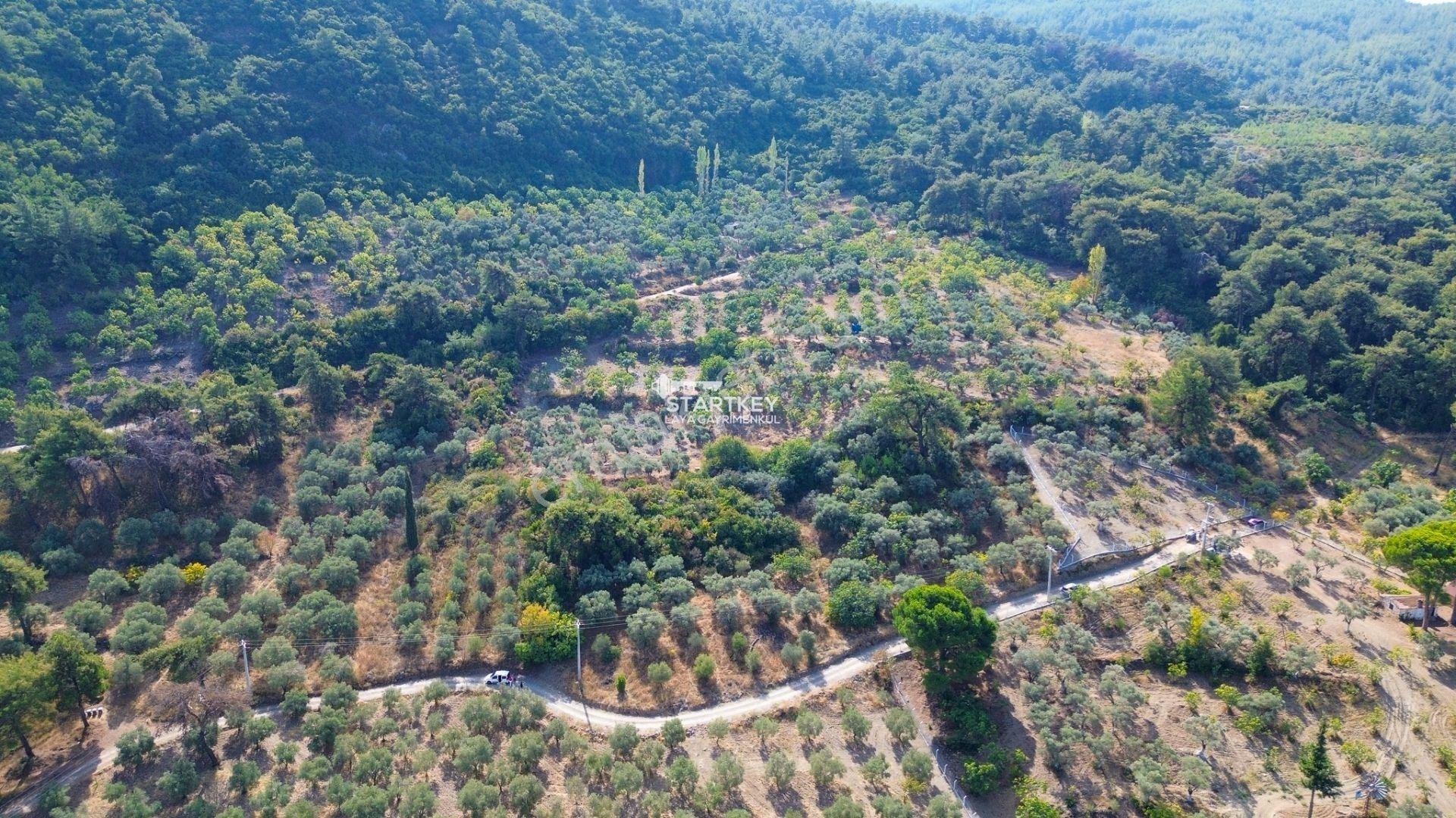 Selçuk Gökçealan Burgaz Mevkiinde Yola Yakın 5.392 M² Tarla — fotoğraf 6