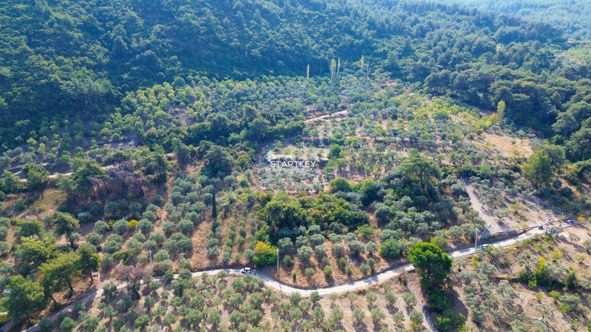 Selçuk Gökçealan Burgaz Mevkiinde Yola Yakın 5.392 M² Tarla — fotoğraf 7