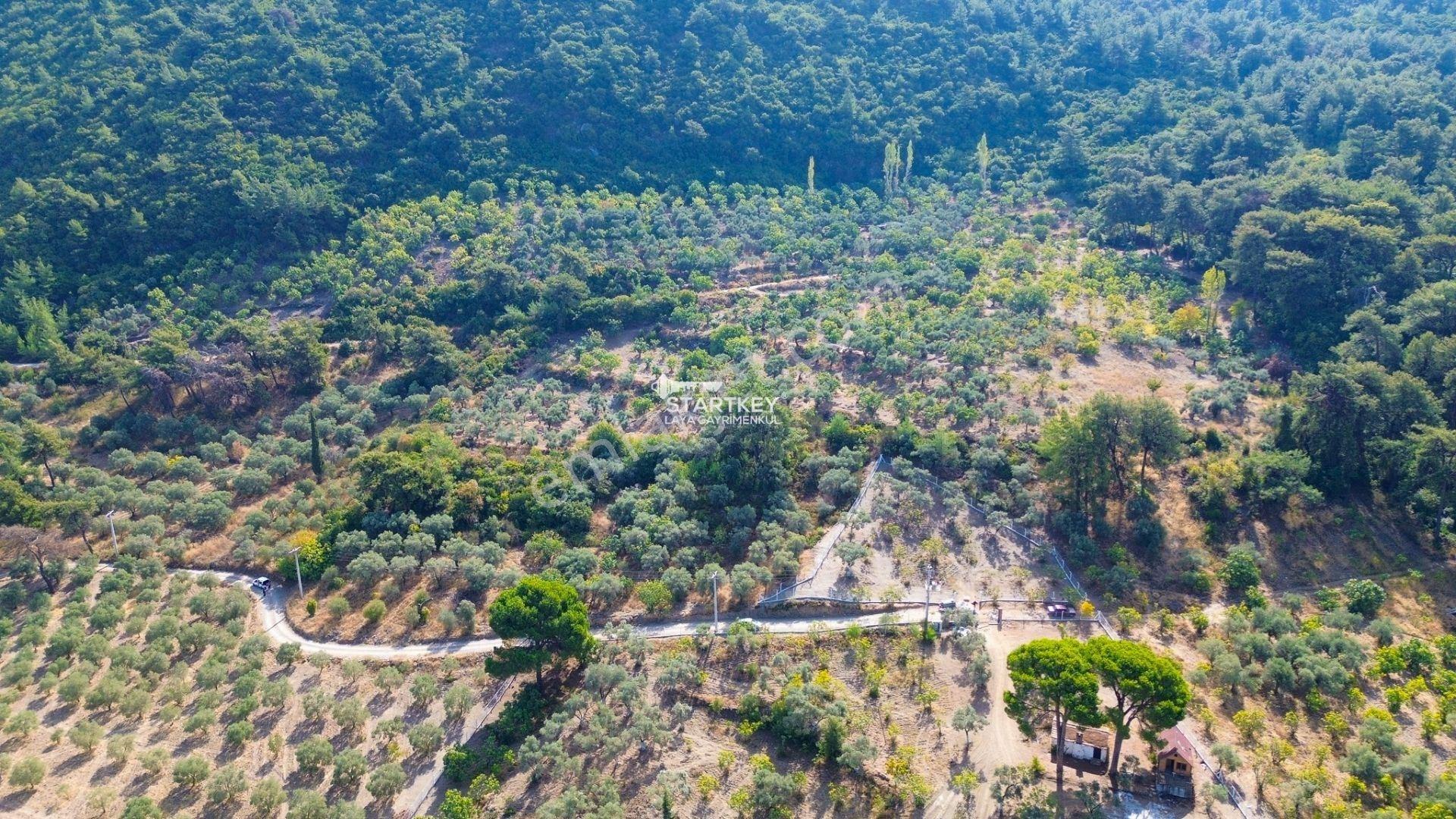 Selçuk Gökçealan Burgaz Mevkiinde Yola Yakın 5.392 M² Tarla — fotoğraf 8