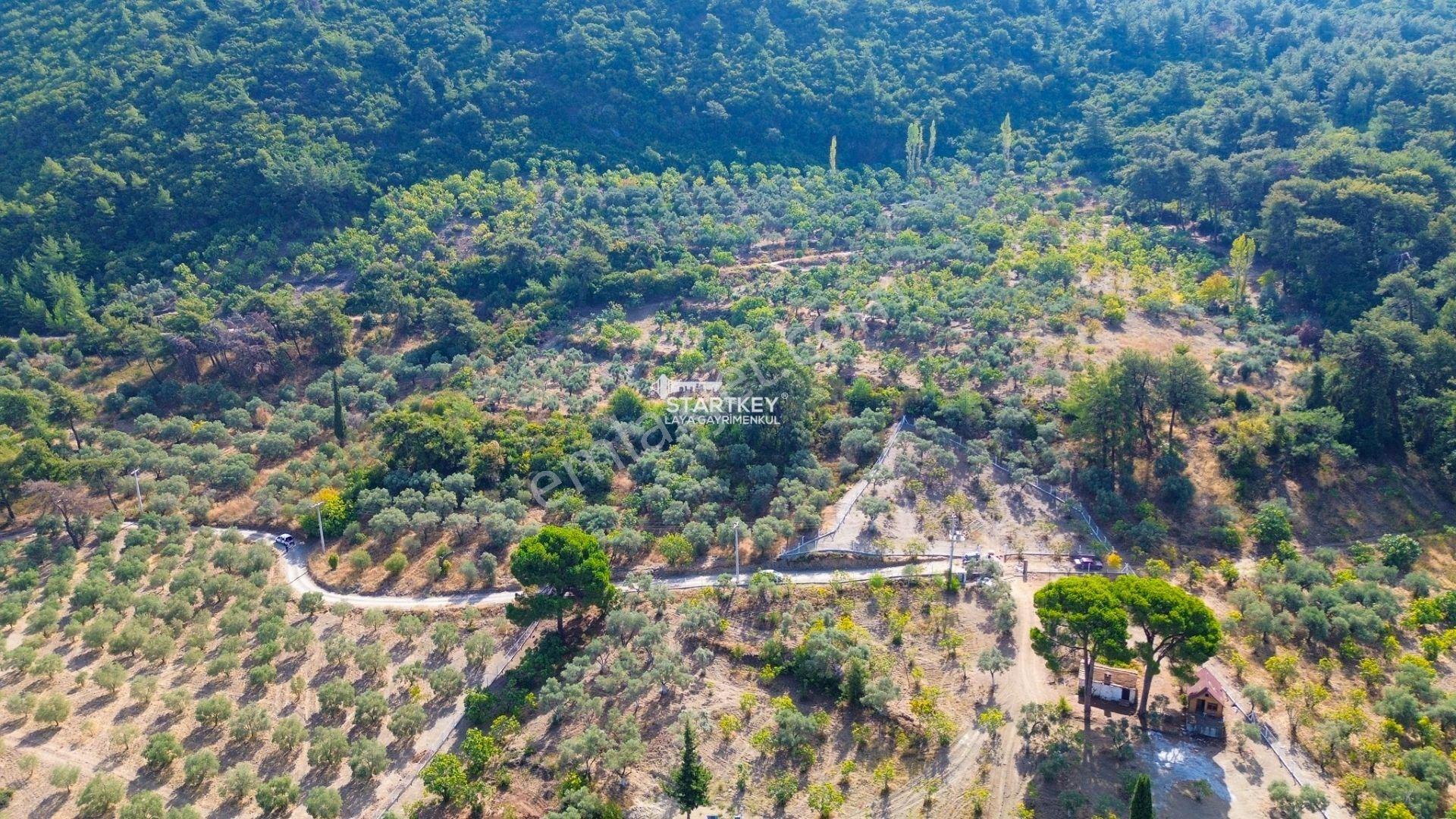 Selçuk Gökçealan Burgaz Mevkiinde Yola Yakın 5.392 M² Tarla — fotoğraf 9