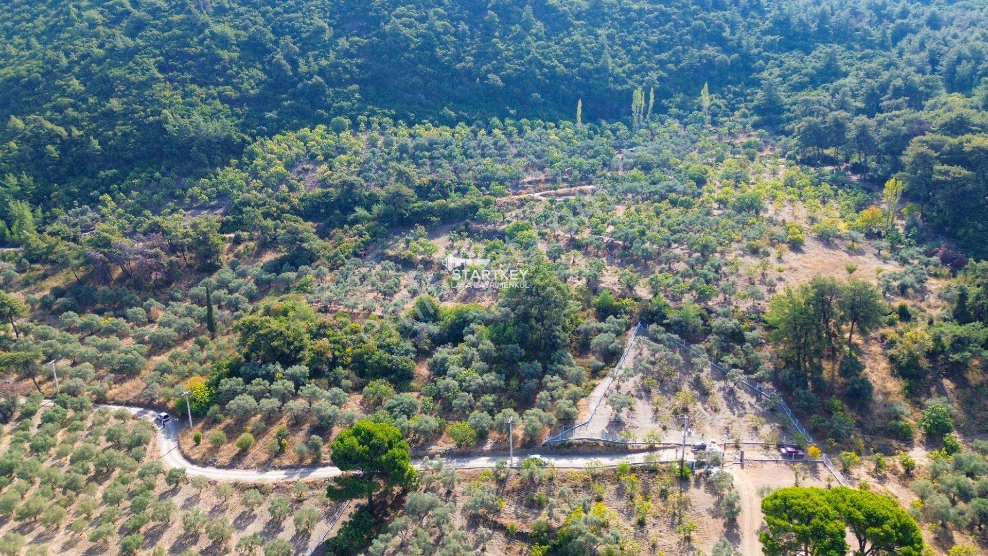 Selçuk Gökçealan Burgaz Mevkiinde Yola Yakın 5.392 M² Tarla — fotoğraf 10