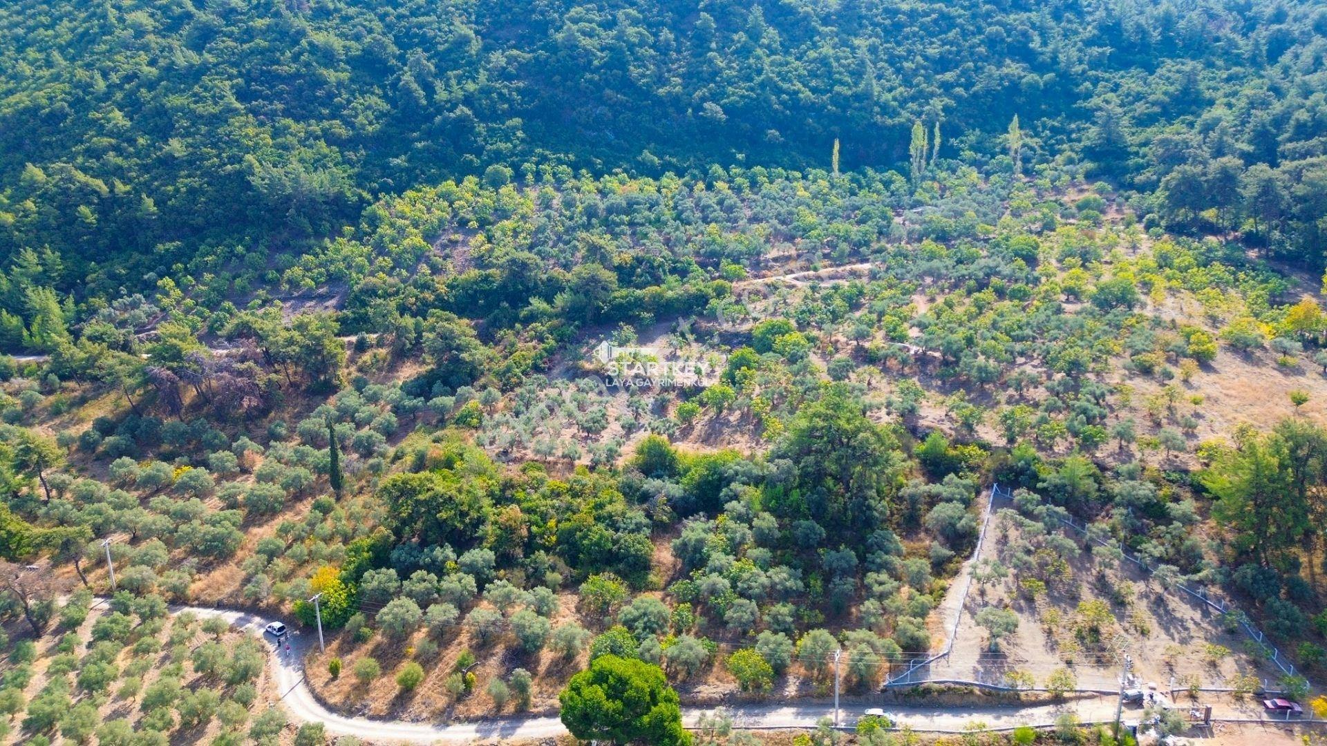 Selçuk Gökçealan Burgaz Mevkiinde Yola Yakın 5.392 M² Tarla — fotoğraf 11