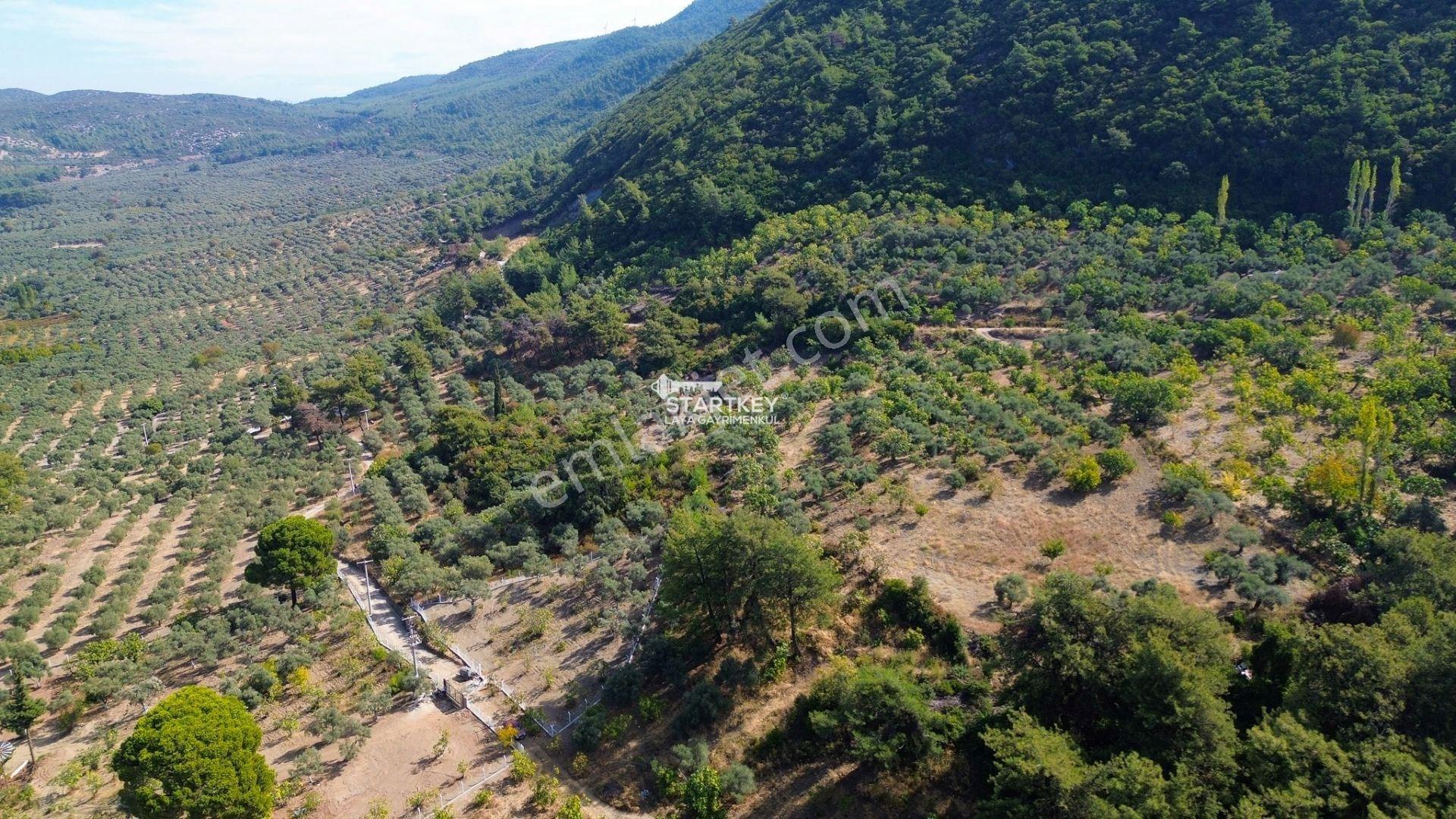 Selçuk Gökçealan Burgaz Mevkiinde Yola Yakın 5.392 M² Tarla — fotoğraf 13