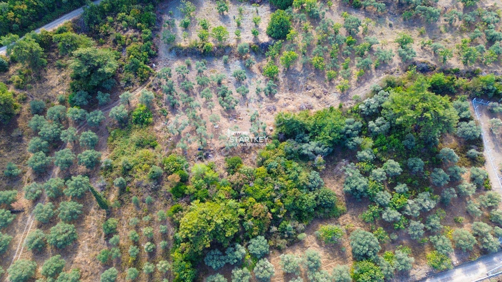 Selçuk Gökçealan Burgaz Mevkiinde Yola Yakın 5.392 M² Tarla — fotoğraf 14