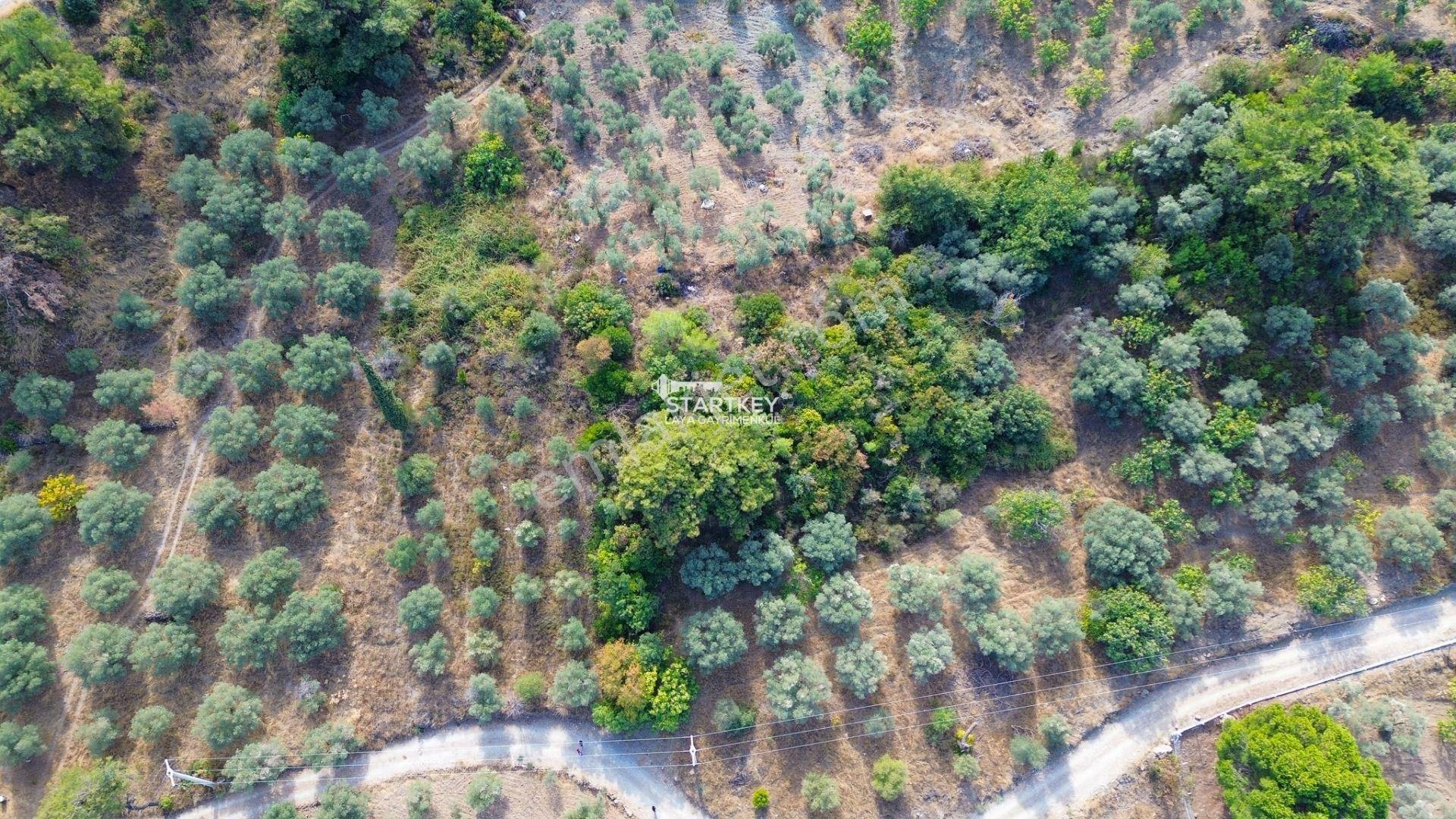 Selçuk Gökçealan Burgaz Mevkiinde Yola Yakın 5.392 M² Tarla — fotoğraf 15