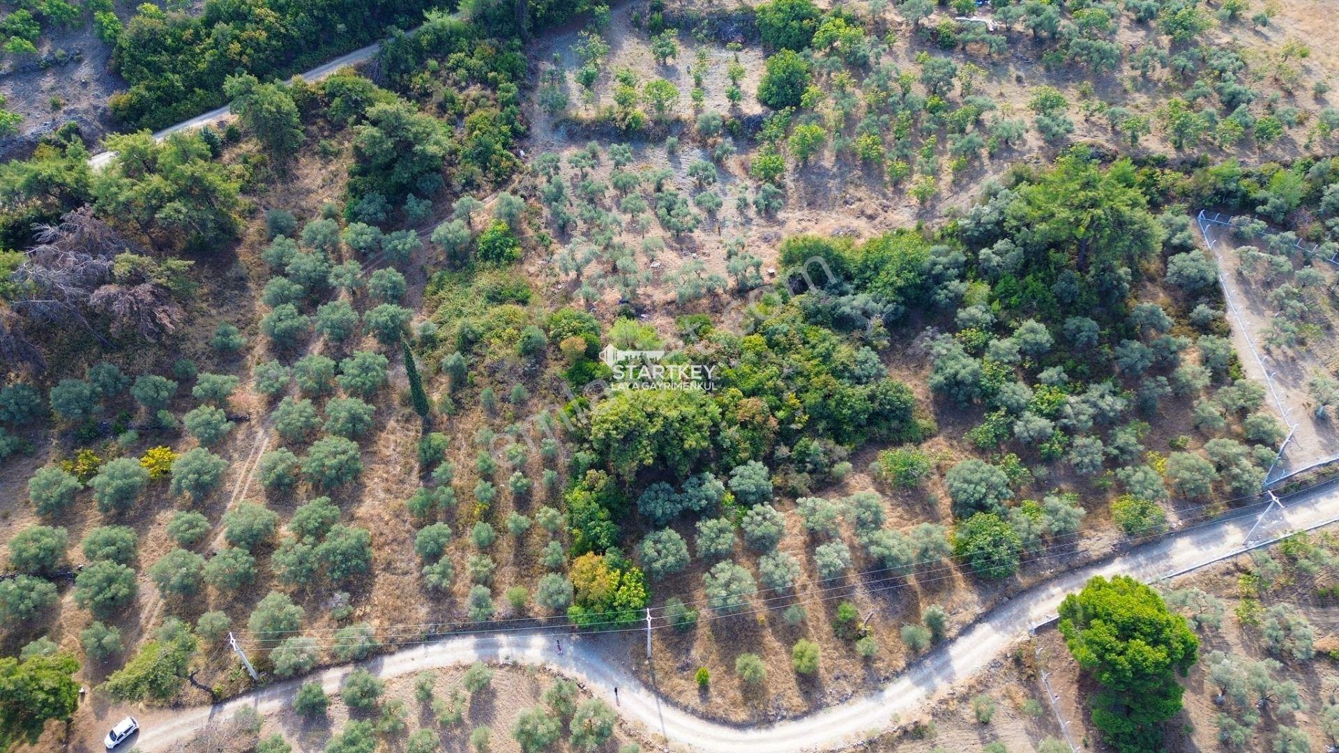 Selçuk Gökçealan Burgaz Mevkiinde Yola Yakın 5.392 M² Tarla — fotoğraf 16