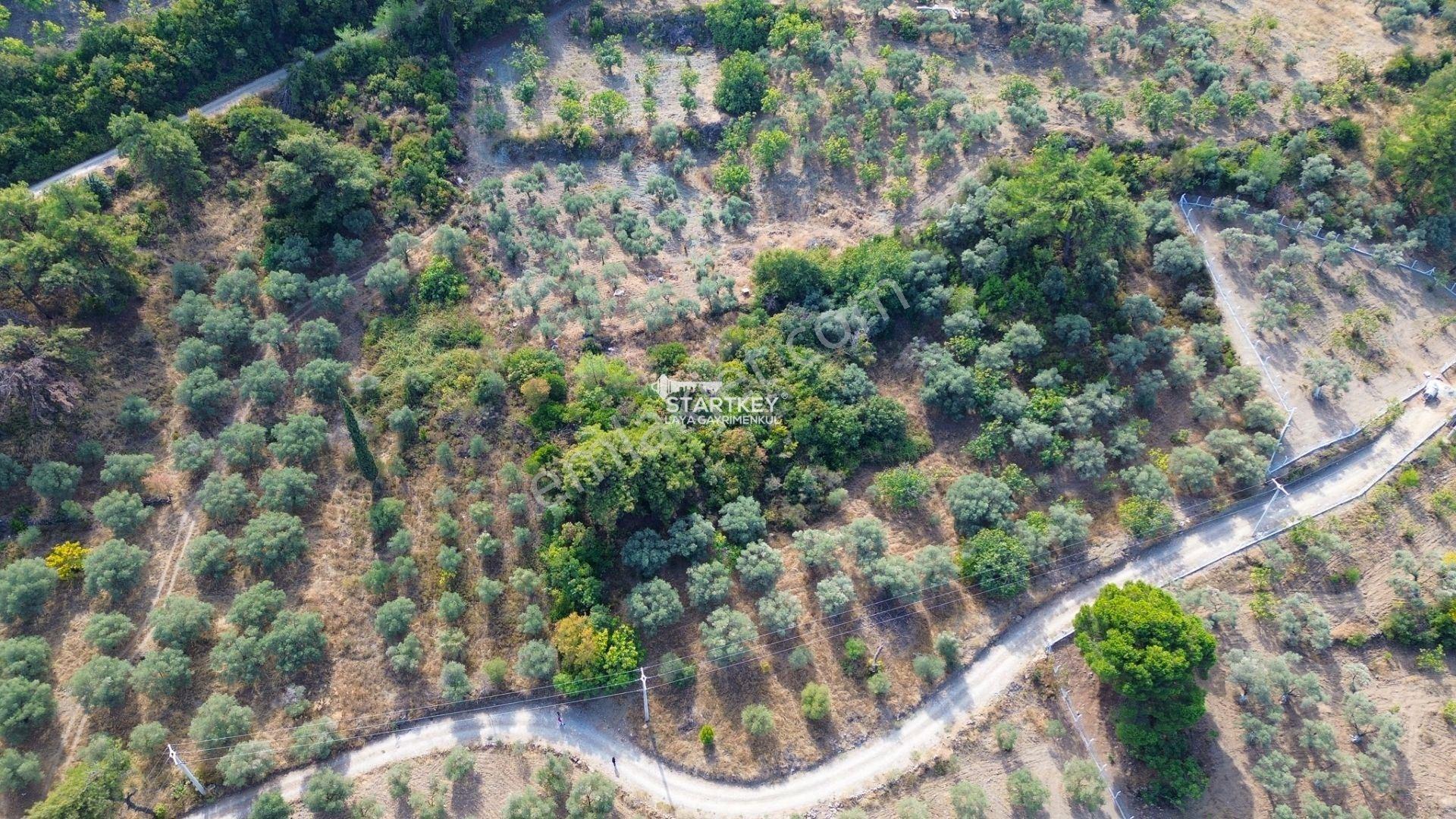 Selçuk Gökçealan Burgaz Mevkiinde Yola Yakın 5.392 M² Tarla — fotoğraf 17