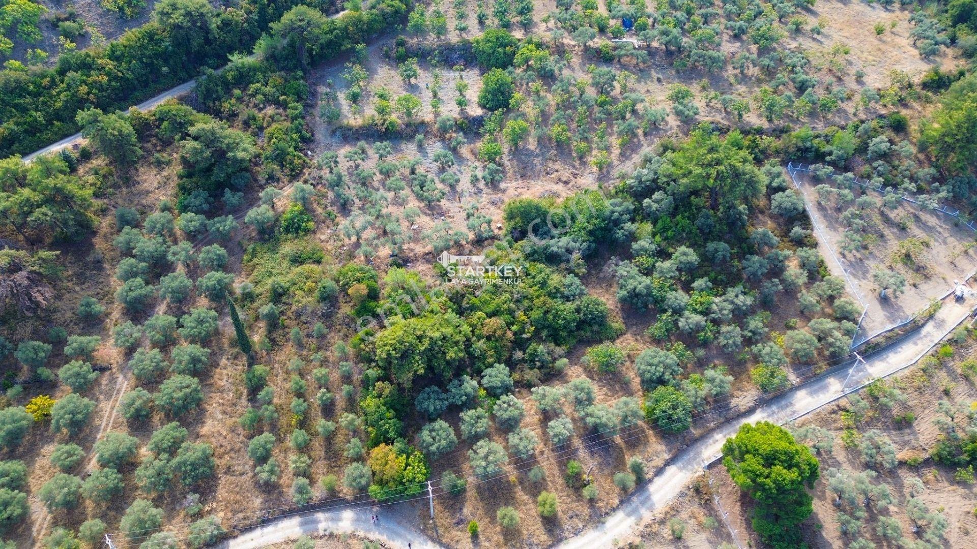 Selçuk Gökçealan Burgaz Mevkiinde Yola Yakın 5.392 M² Tarla — fotoğraf 18