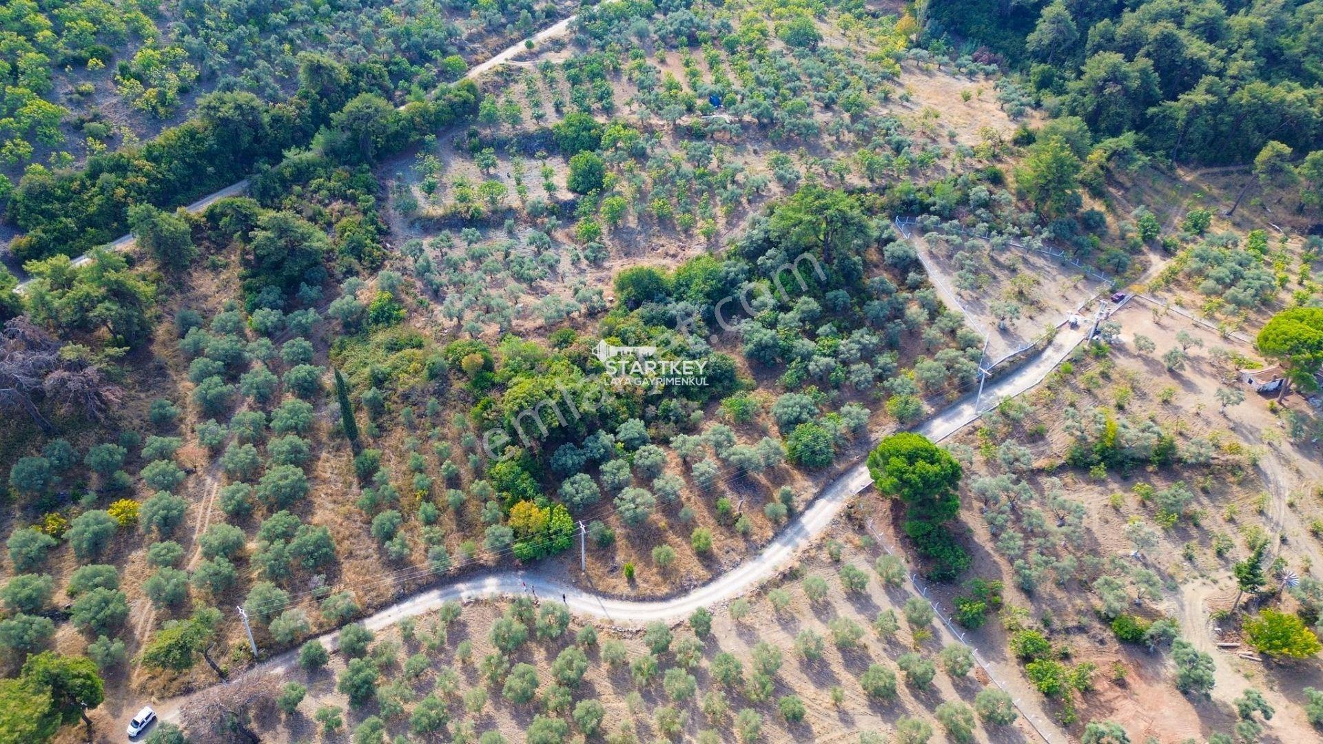 Selçuk Gökçealan Burgaz Mevkiinde Yola Yakın 5.392 M² Tarla — fotoğraf 19