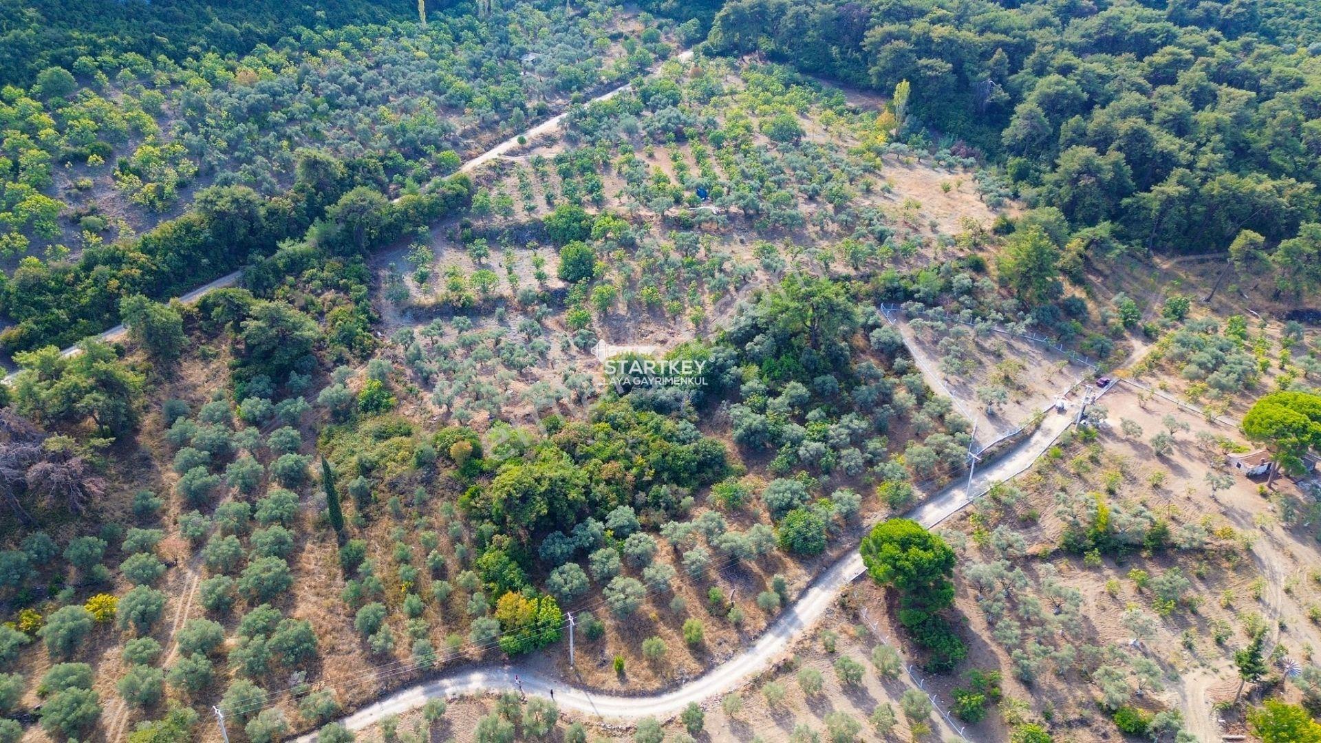 Selçuk Gökçealan Burgaz Mevkiinde Yola Yakın 5.392 M² Tarla — fotoğraf 20