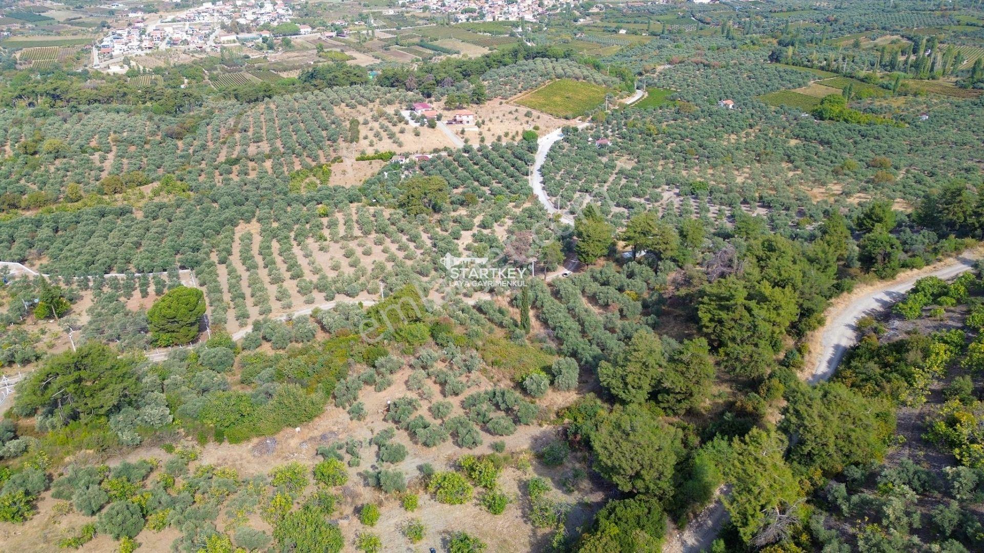 Selçuk Gökçealan Burgaz Mevkiinde Yola Yakın 5.392 M² Tarla — fotoğraf 21
