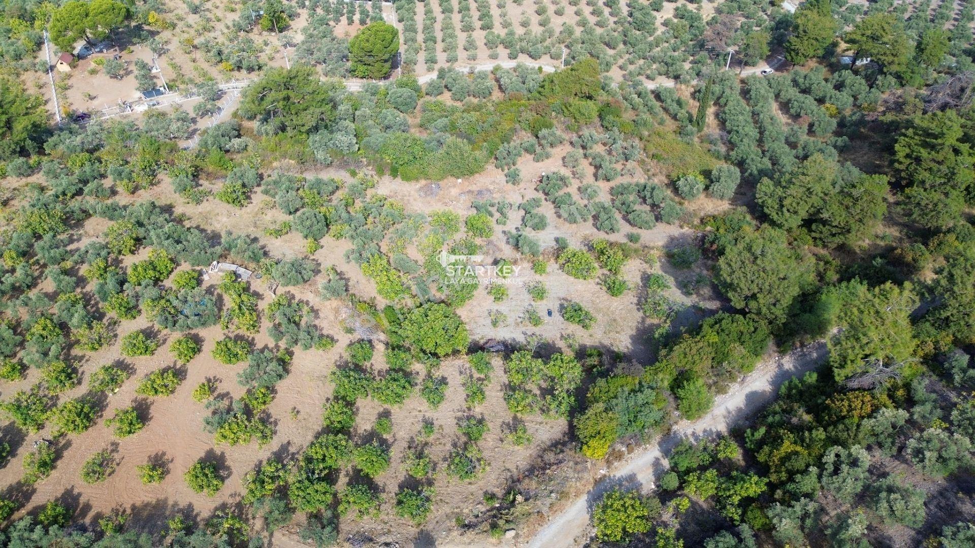 Selçuk Gökçealan Burgaz Mevkiinde Yola Yakın 5.392 M² Tarla — fotoğraf 22