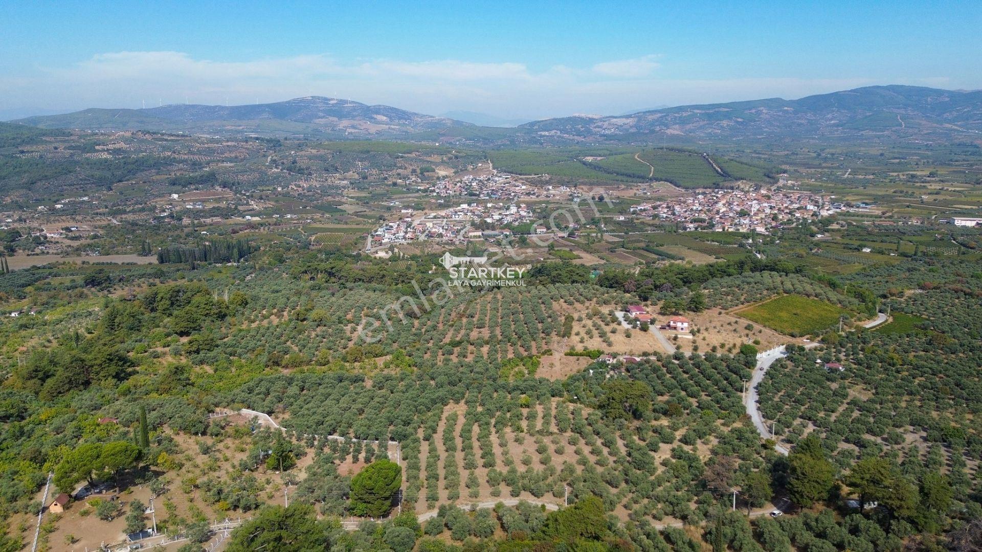 Selçuk Gökçealan Burgaz Mevkiinde Yola Yakın 5.392 M² Tarla — fotoğraf 23
