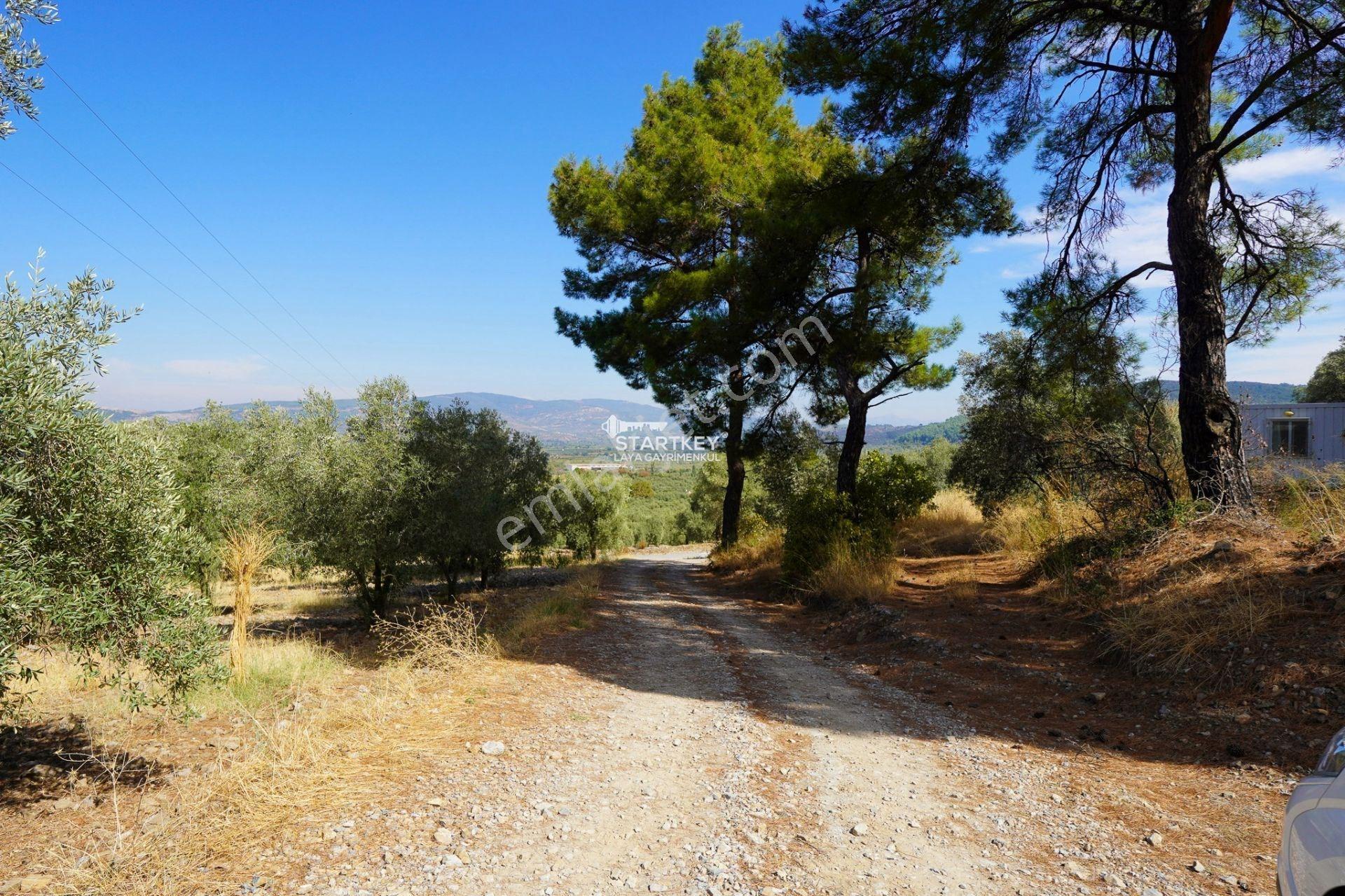 Selçuk Gökçealan Burgaz Mevkiinde Yola Yakın 5.392 M² Tarla — fotoğraf 25