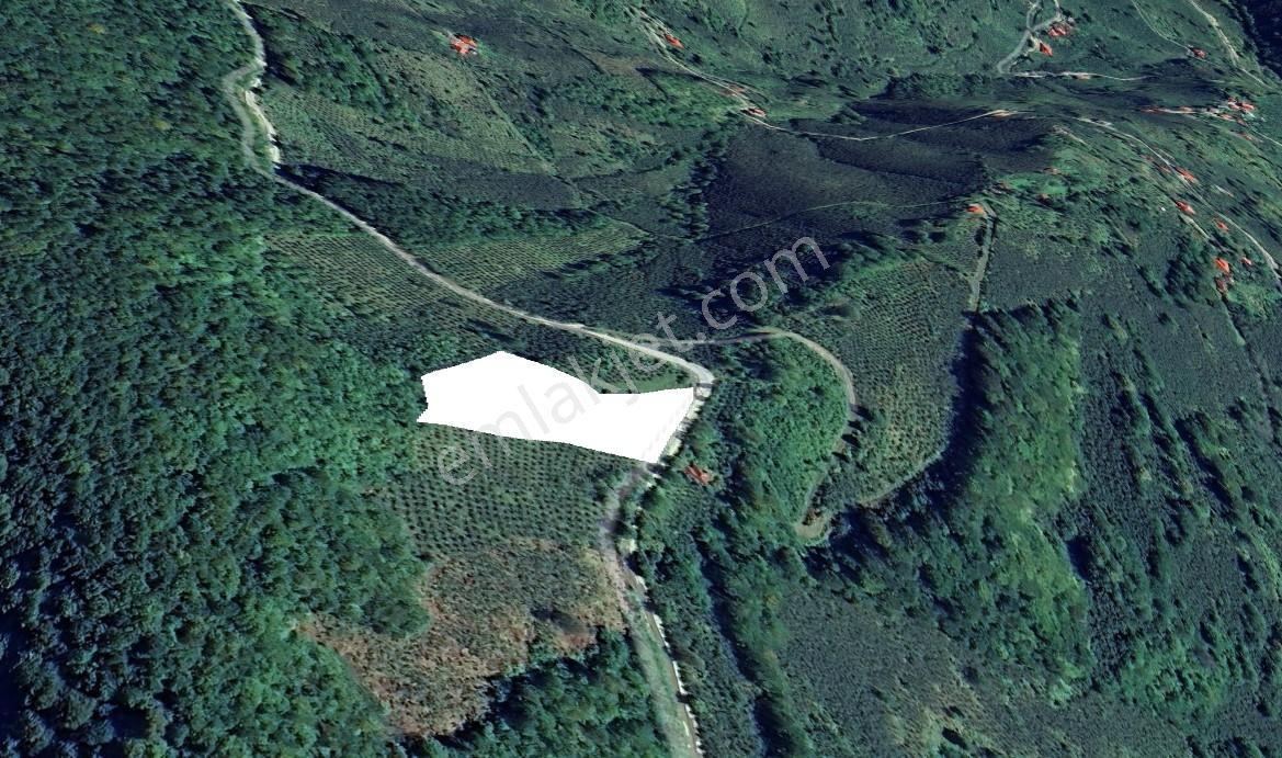 Vavien Emla'Tan Piraziz Medrese Köyünde Satılık Bahçe
