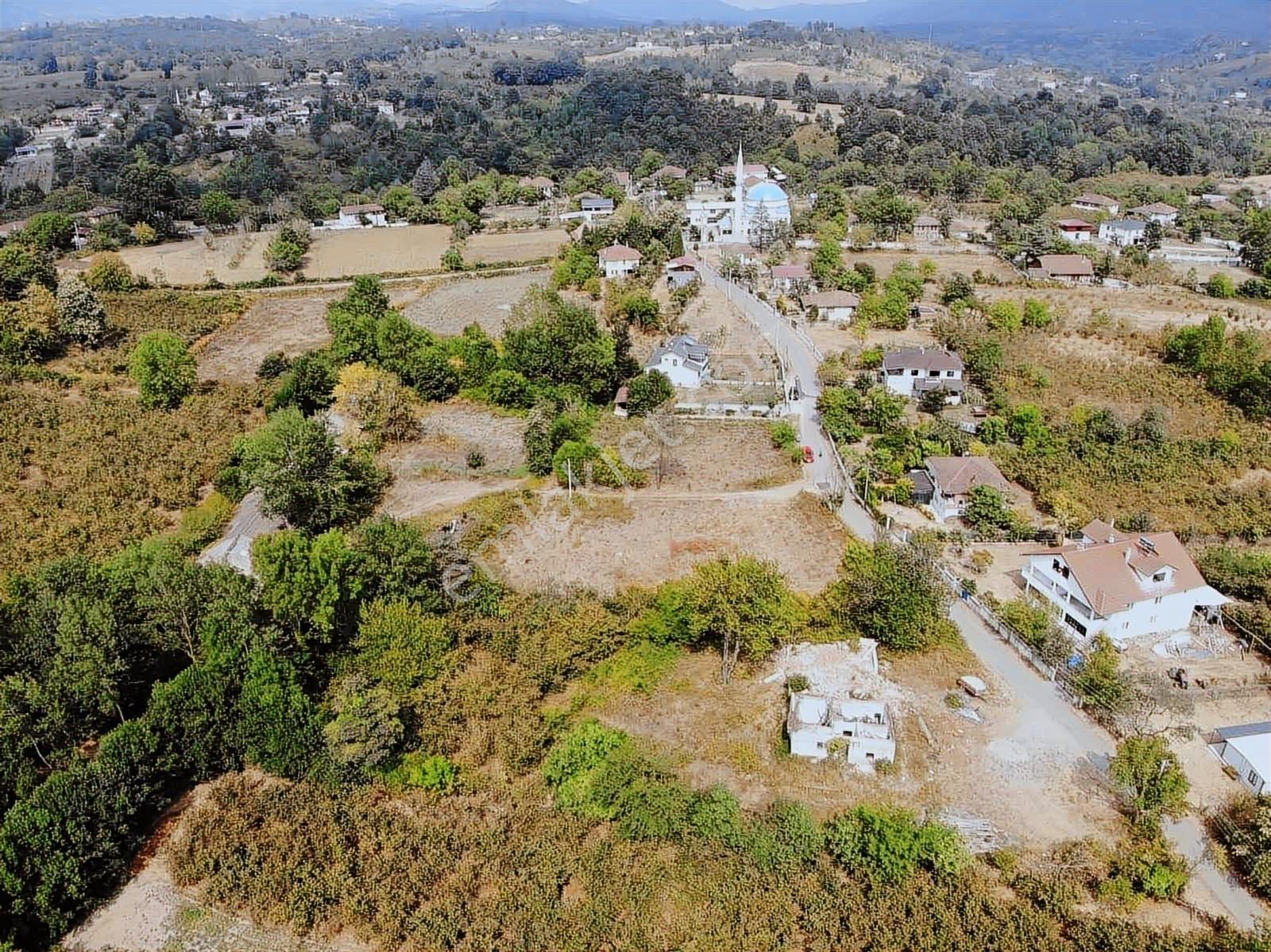 Sakarya Hendek İkbaliye Mahallesinde İmarlı Arsa — fotoğraf 2