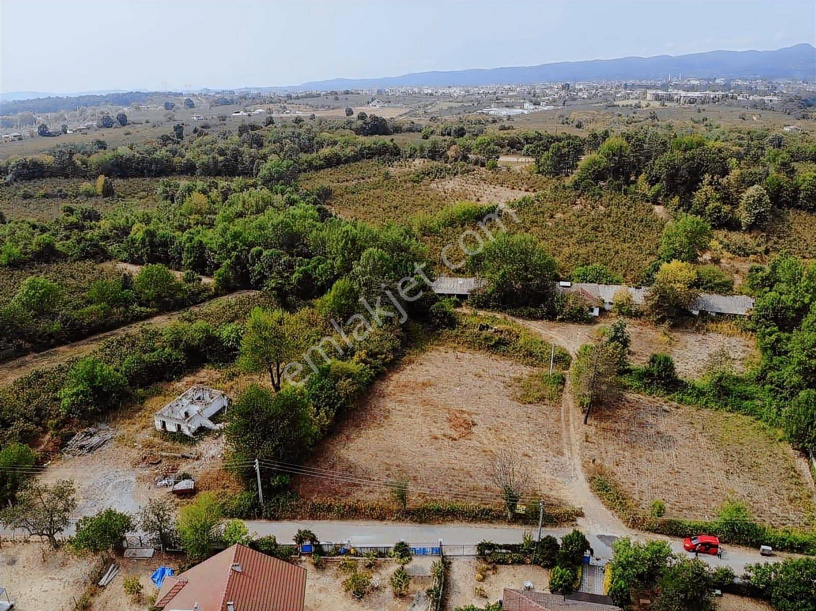Sakarya Hendek İkbaliye Mahallesinde İmarlı Arsa — fotoğraf 3