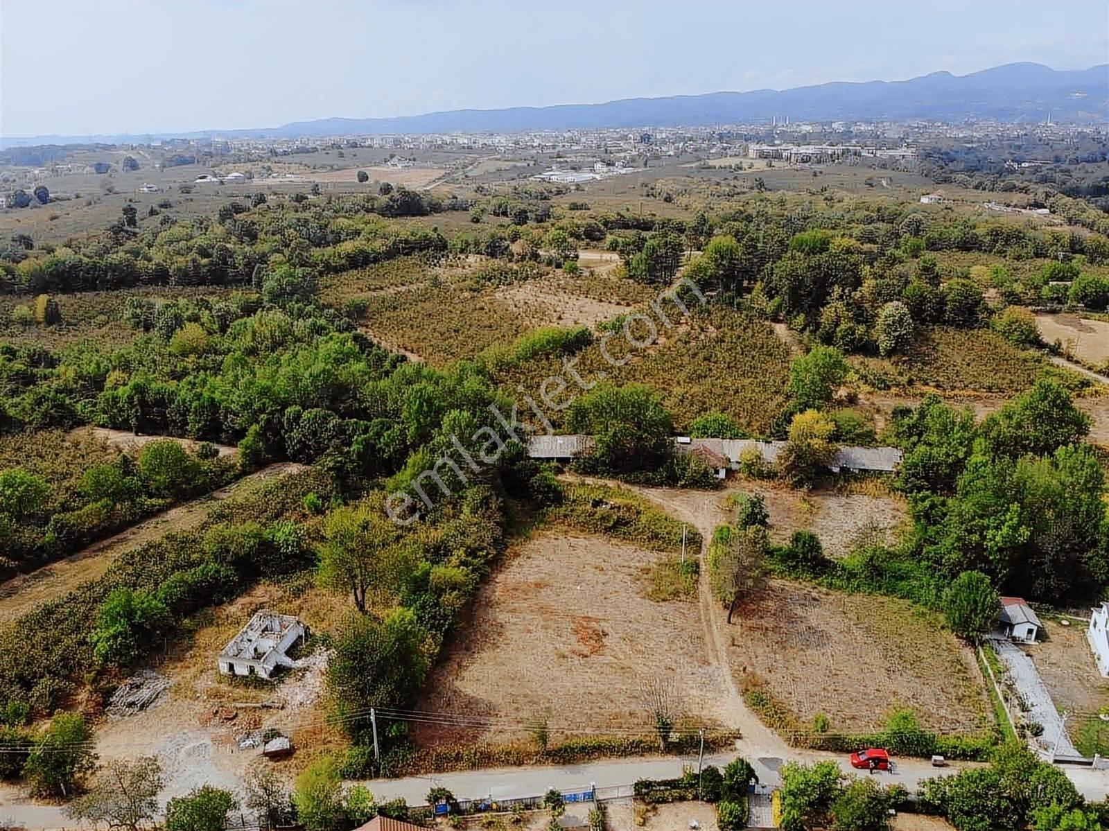 Sakarya Hendek İkbaliye Mahallesinde İmarlı Arsa — fotoğraf 5