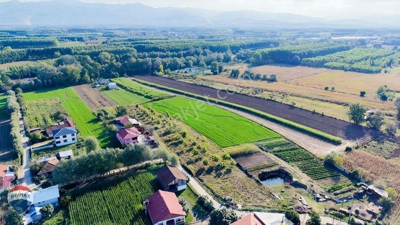 Akyazı Uzunçınar Mahallesinde Satılık Projesi Hazır Arsalar. — fotoğraf 9